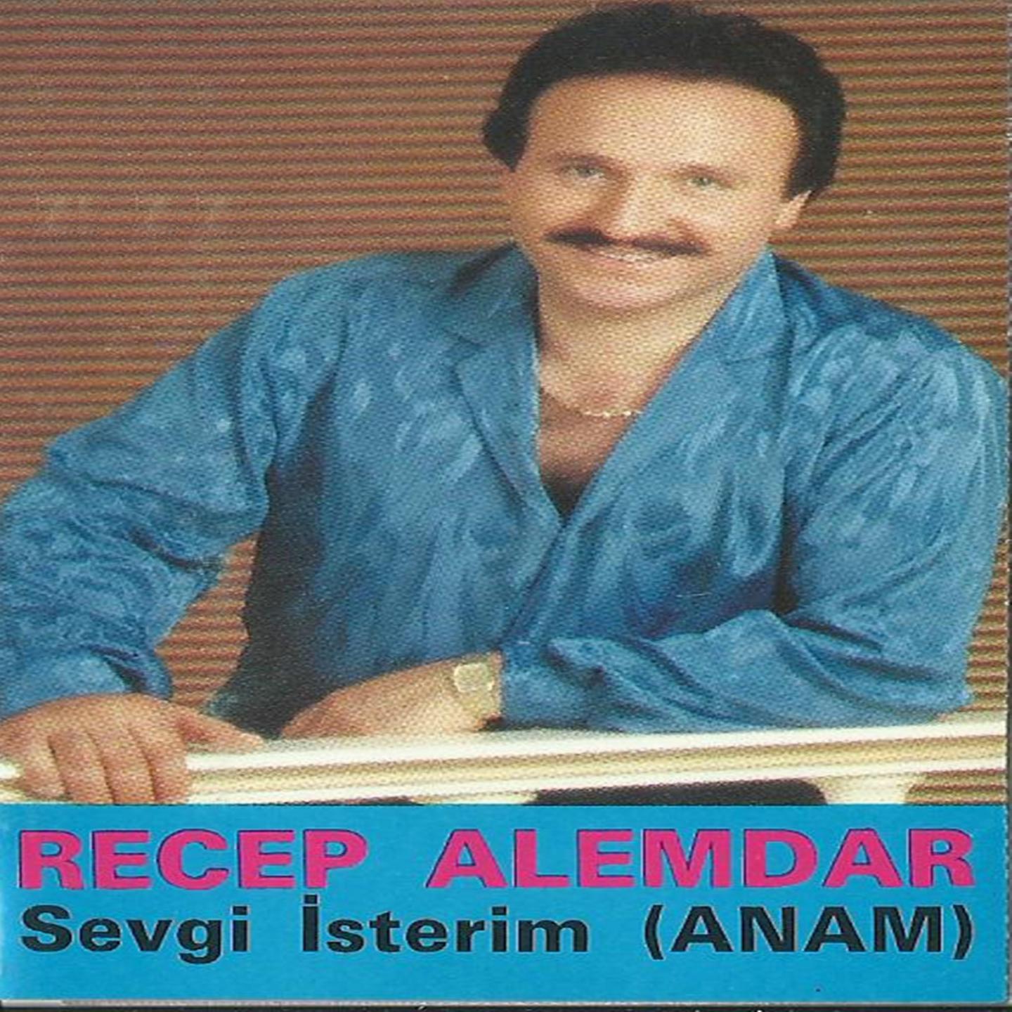 Постер альбома Sevgi İsterim