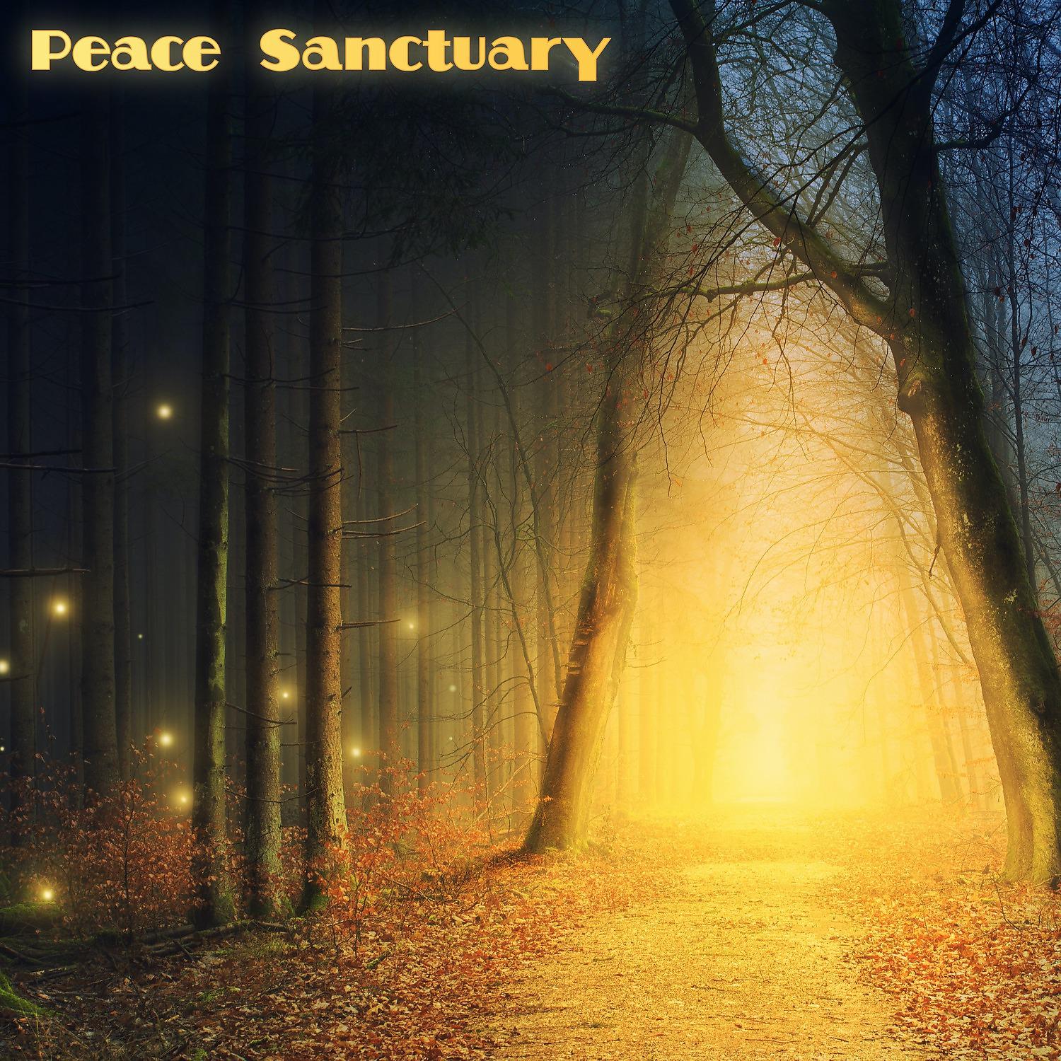 Постер альбома Peace Sanctuary