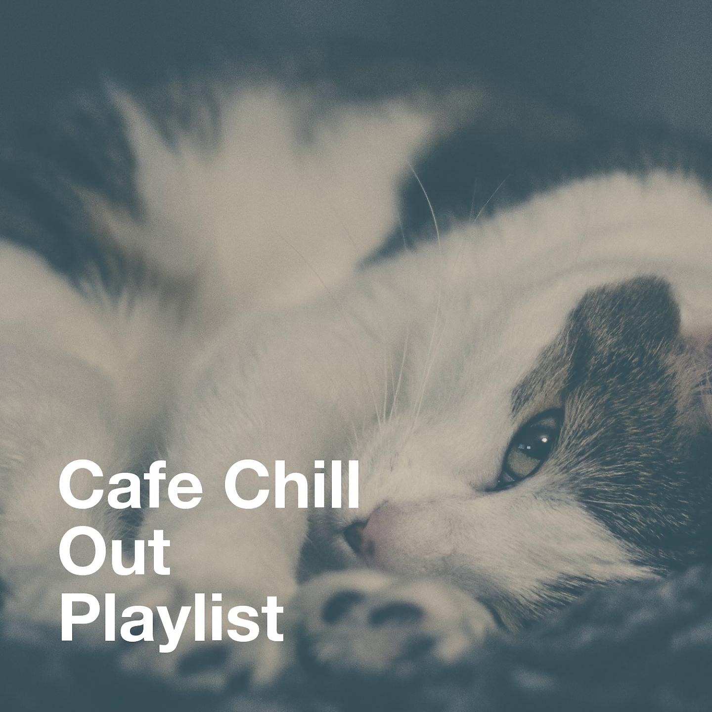 Постер альбома Cafe Chill Out Playlist