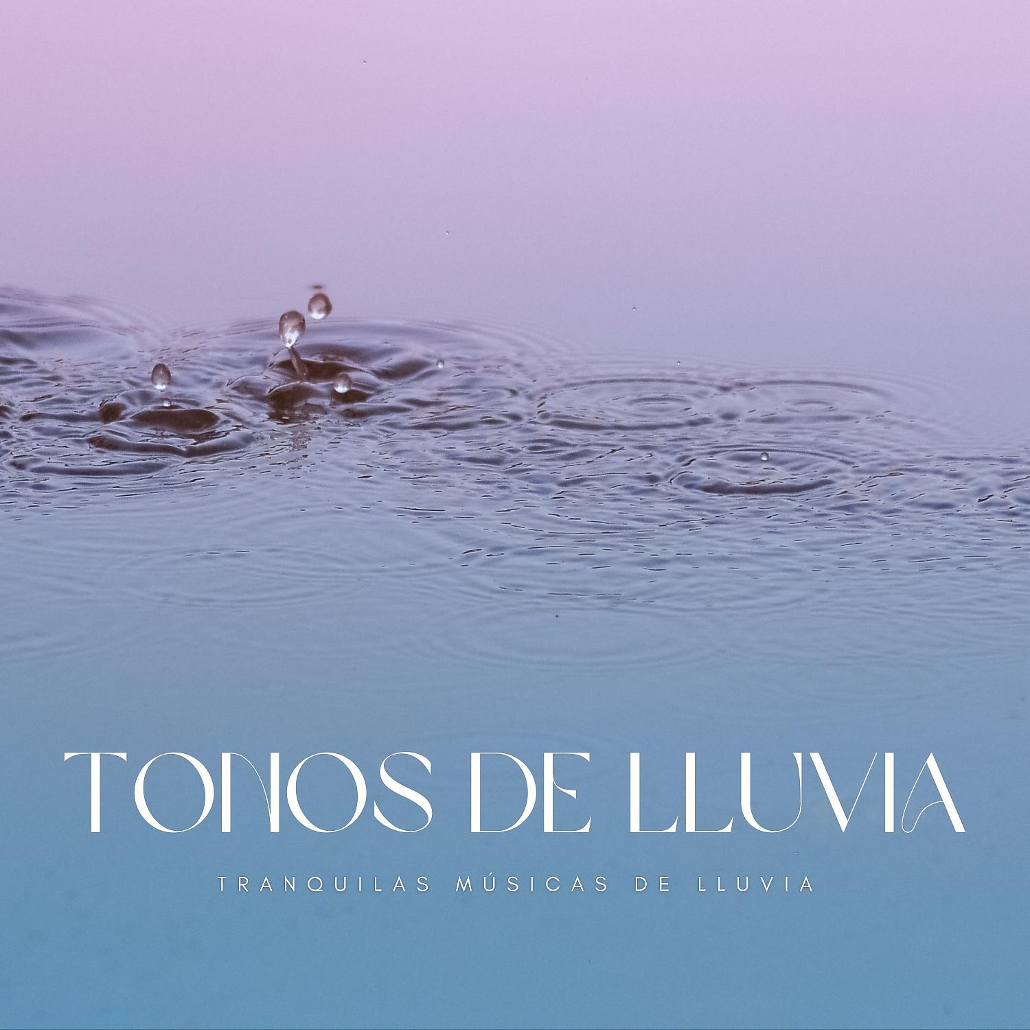 Постер альбома Tonos De Lluvia: Tranquilas Músicas De Lluvia