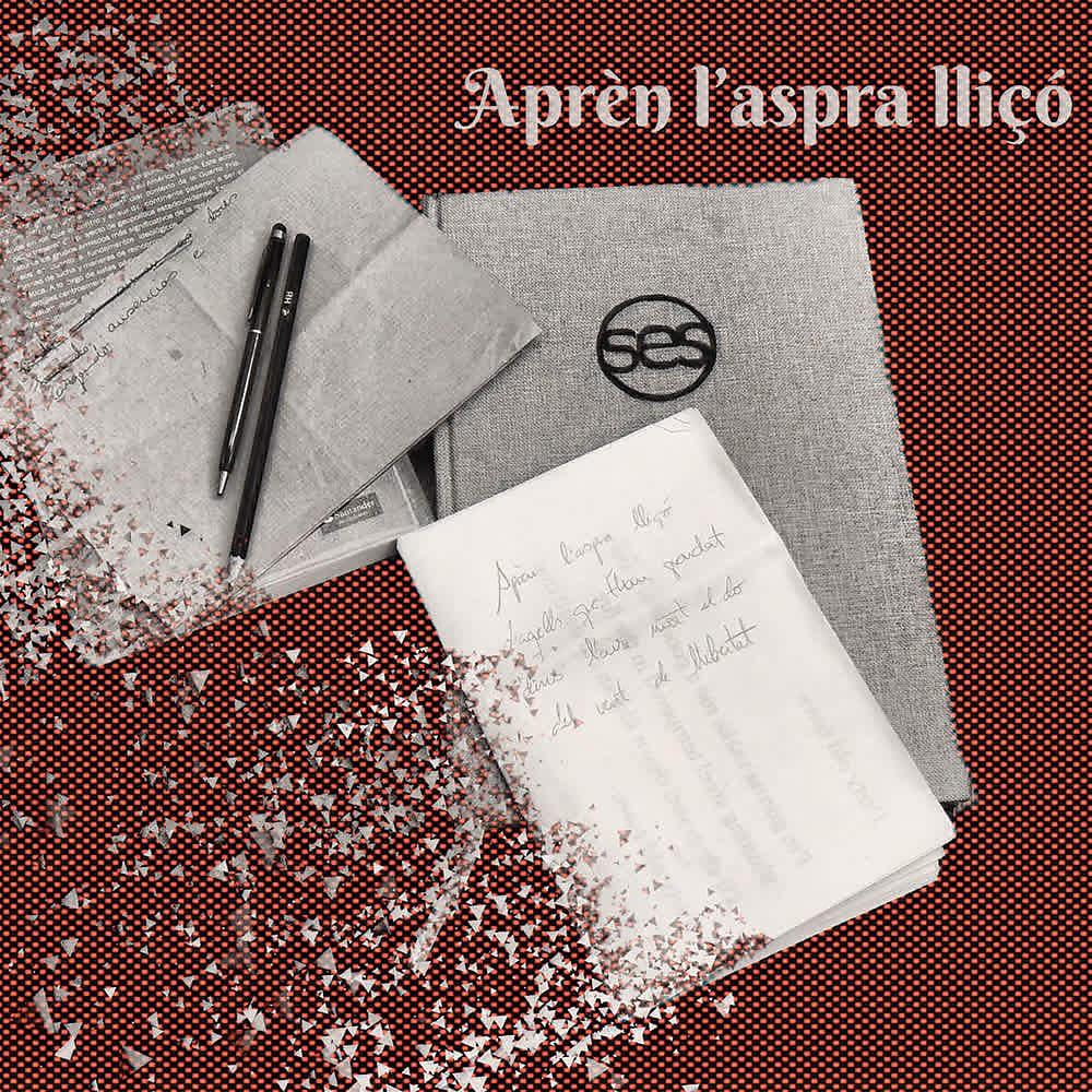 Постер альбома Aprèn L'aspra Lliçó