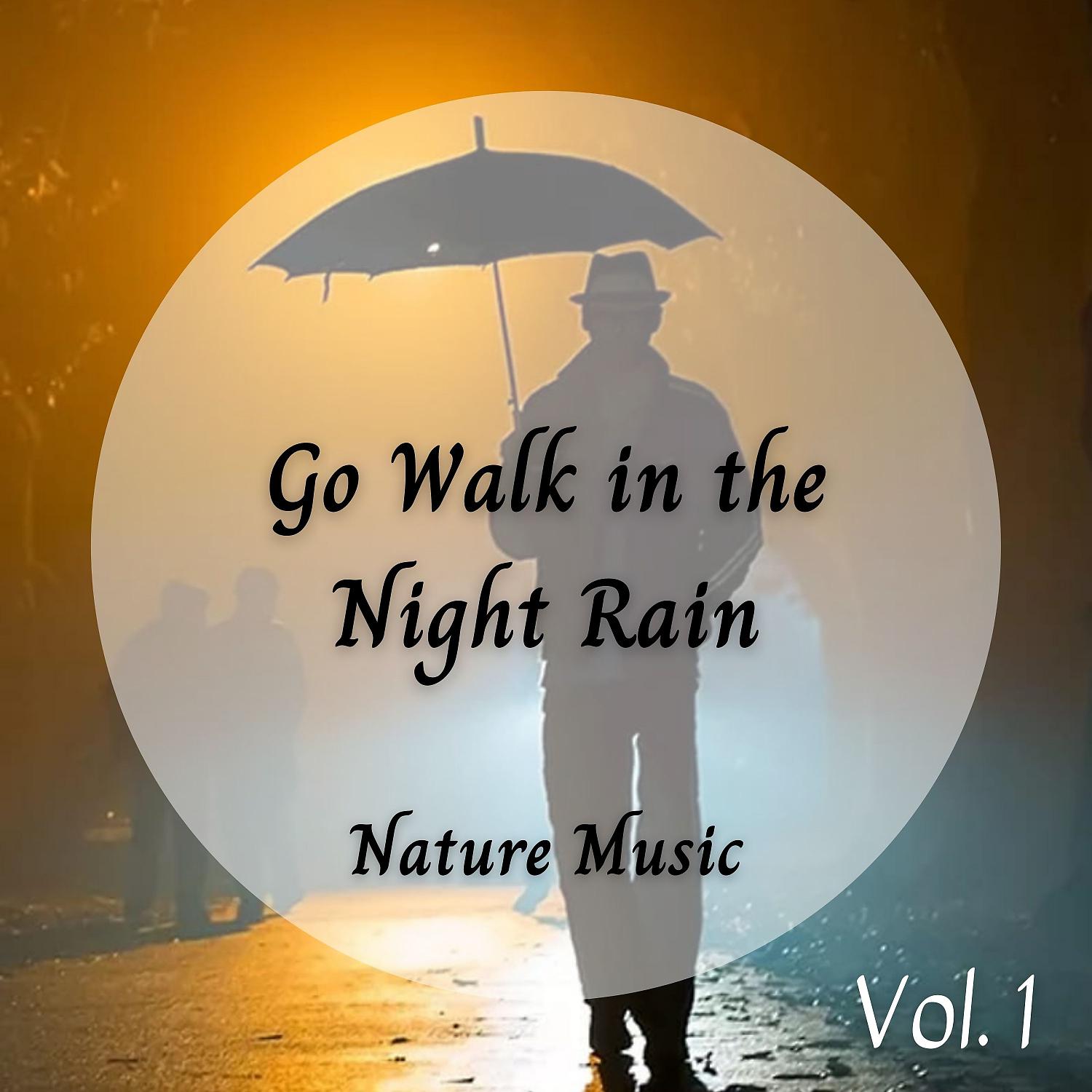Постер альбома Nature Sound: Go Walk in the Night Rain Vol. 1