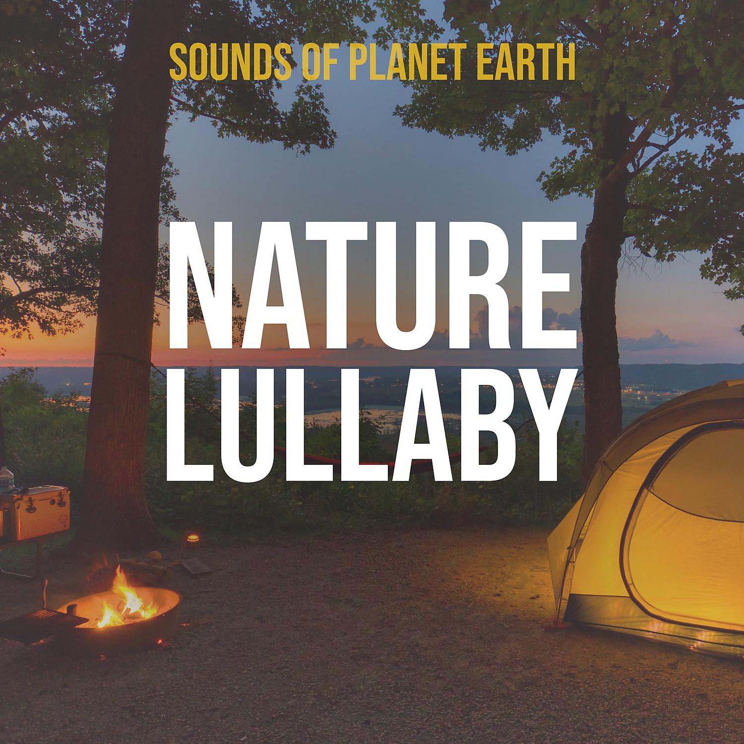 Постер альбома Nature Lullaby