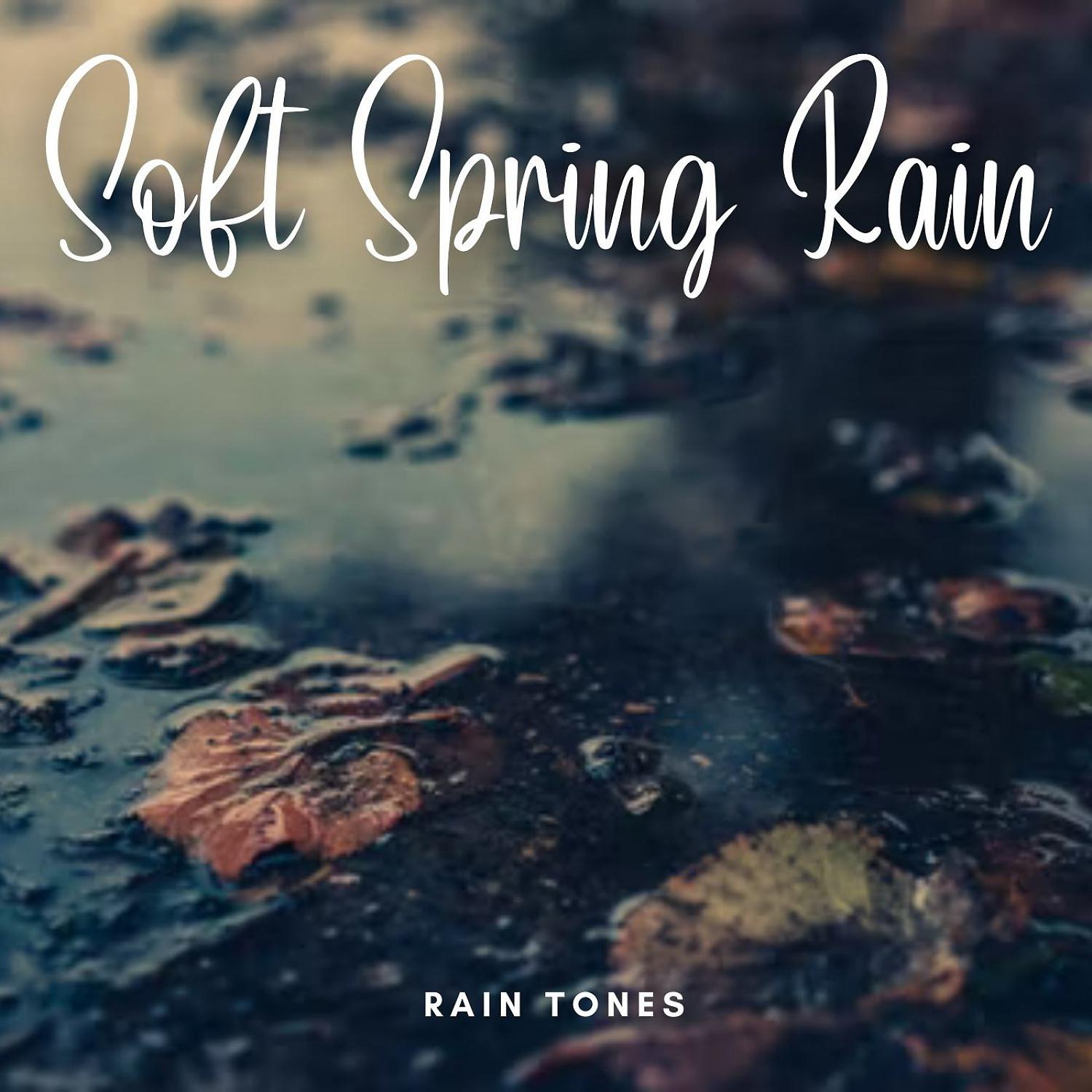 Постер альбома Rain Tones: Soft Spring Rain