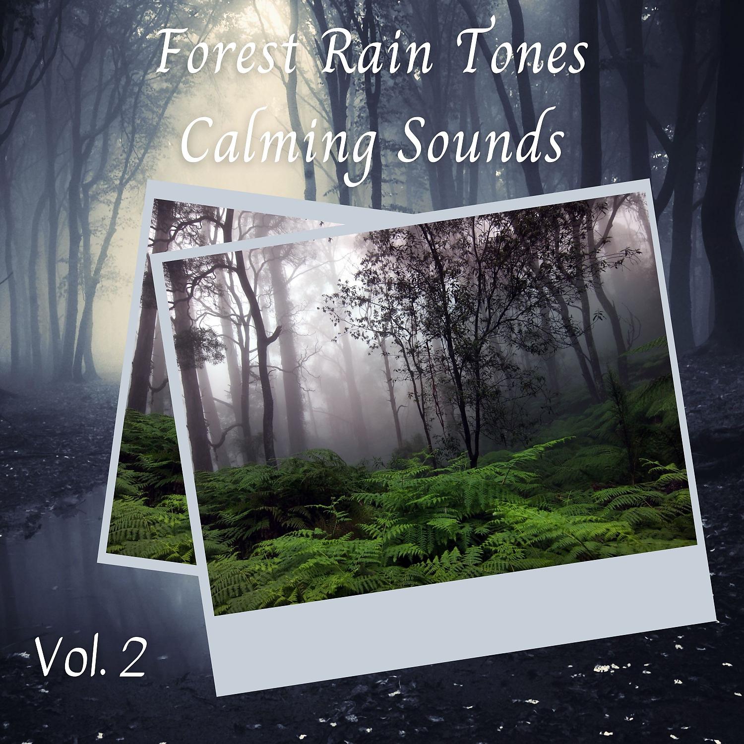 Постер альбома Forest Rain Tones Calming Sounds Vol. 2