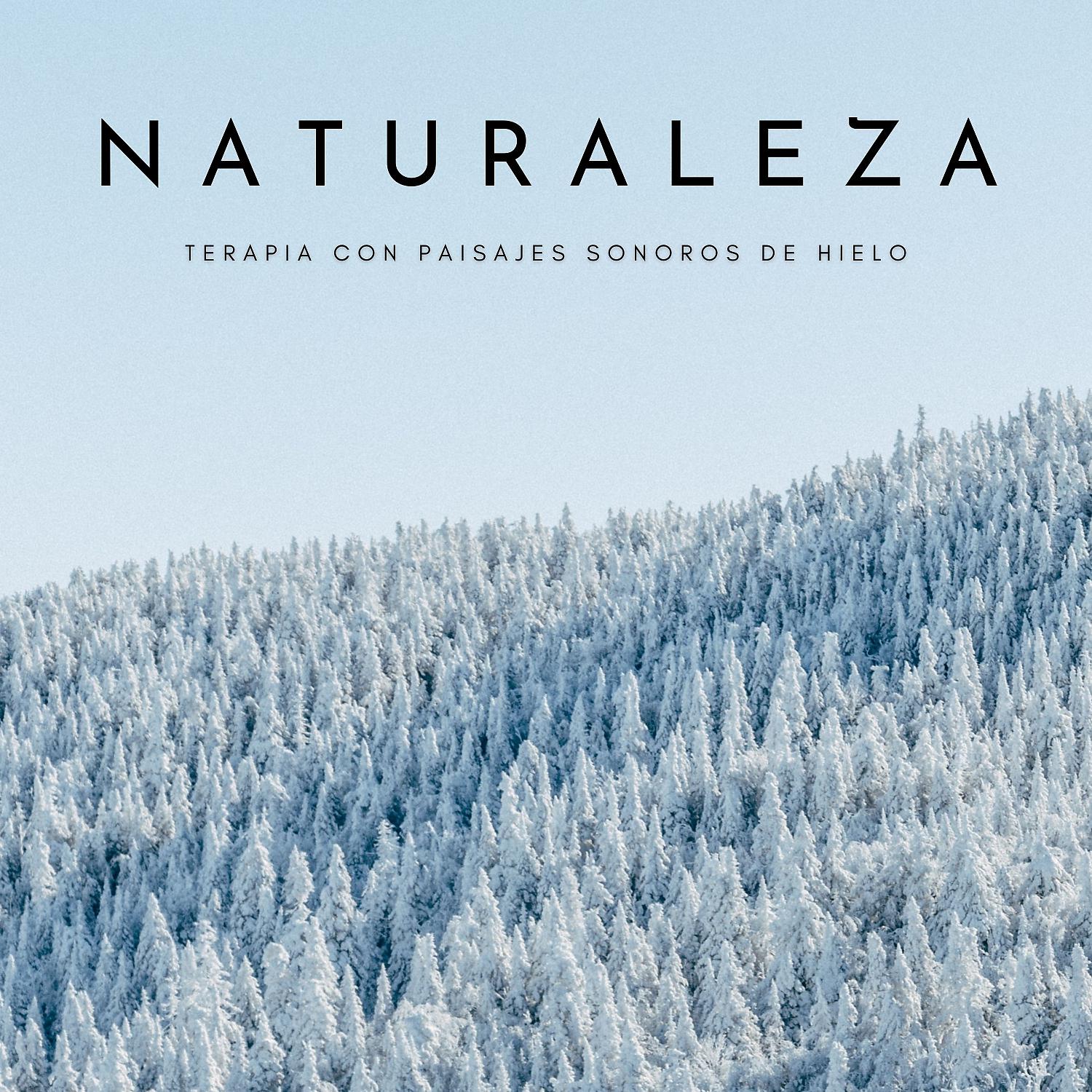 Постер альбома Naturaleza: Terapia Con Paisajes Sonoros De Hielo