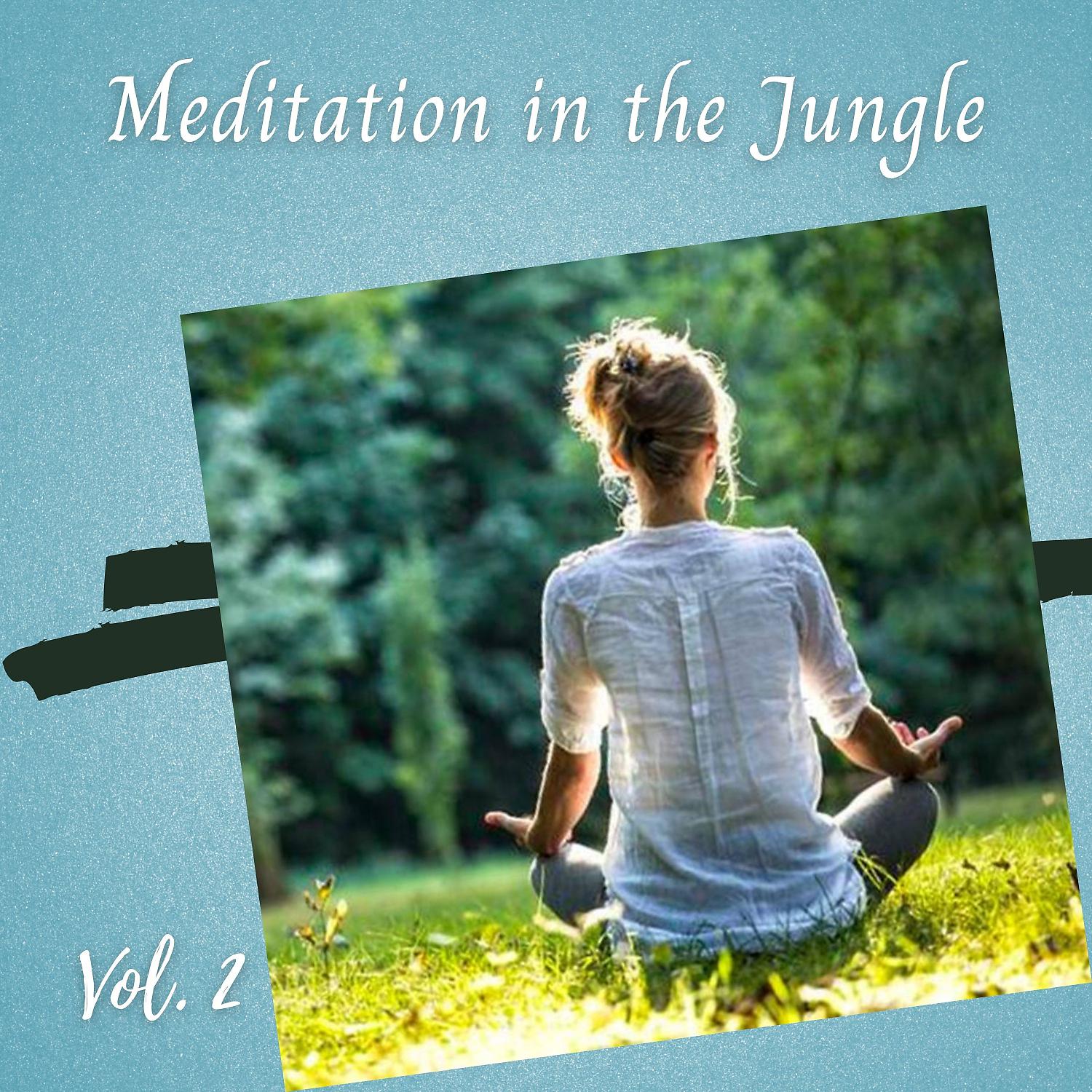 Постер альбома Meditation in the Jungle Vol. 2