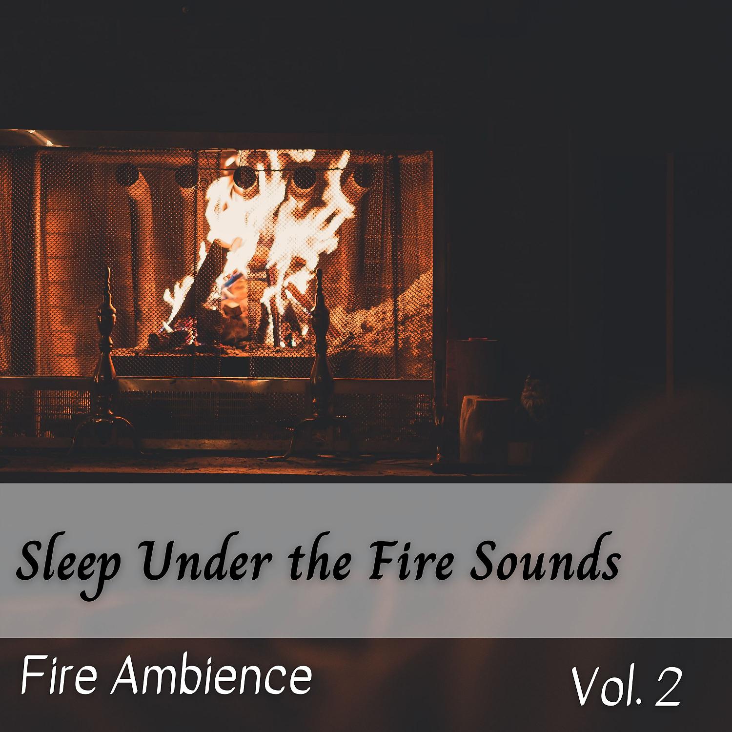 Постер альбома Fire Ambience: Sleep Under the Fire Sounds Vol. 2