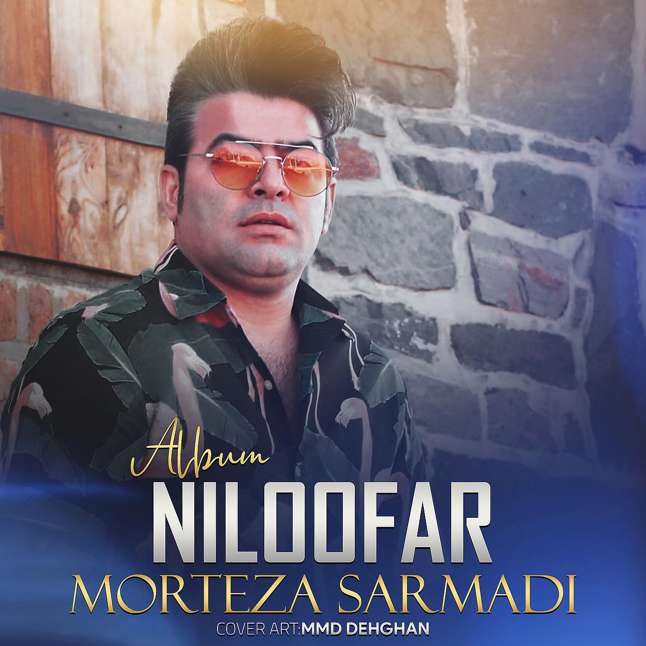 Постер альбома Niloofar
