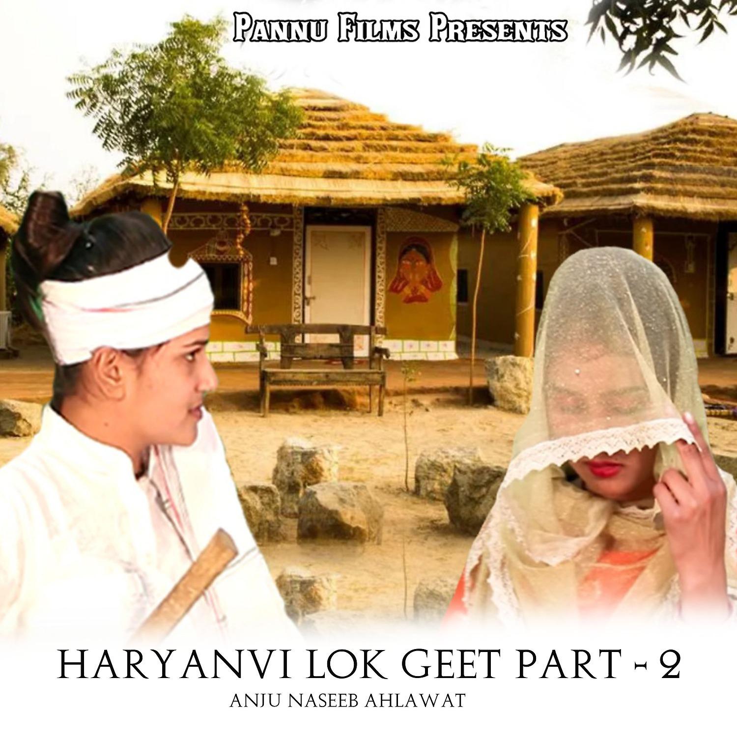 Постер альбома Haryanvi Lok Geet, Pt. 2