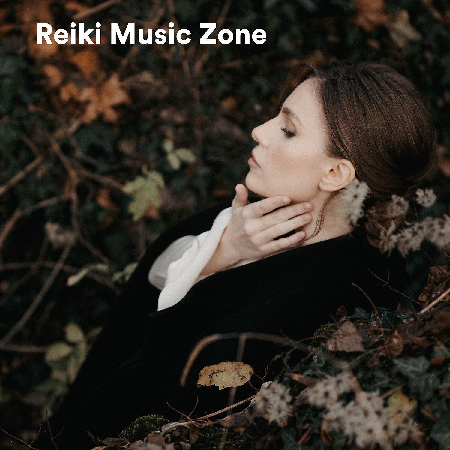 Постер альбома Reiki Music Zone