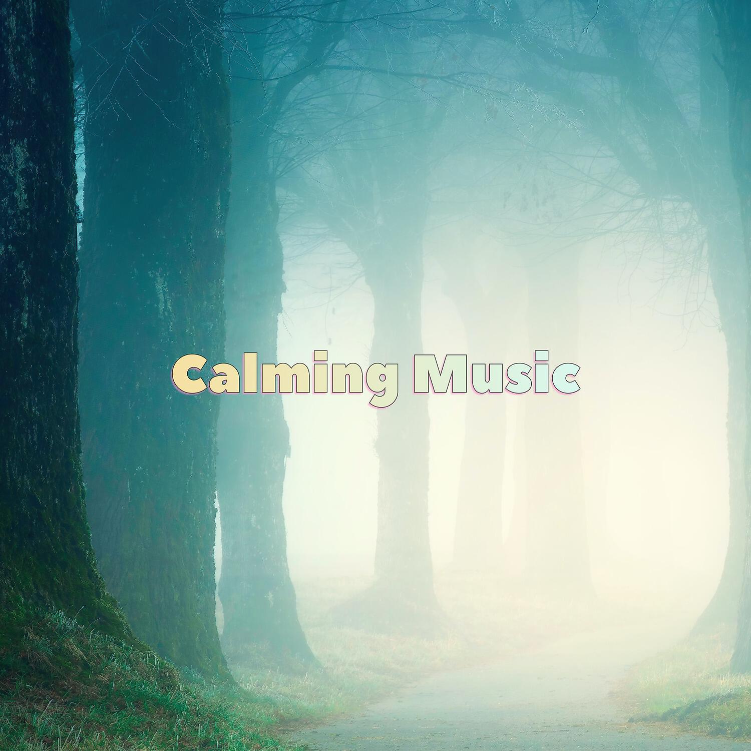 Calming Music and Soothing Music Masters - Distant Memory