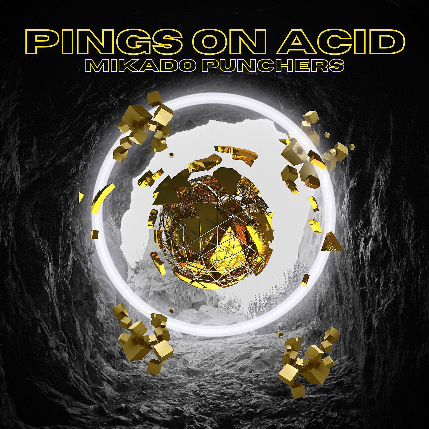 Постер альбома Pings on Acid