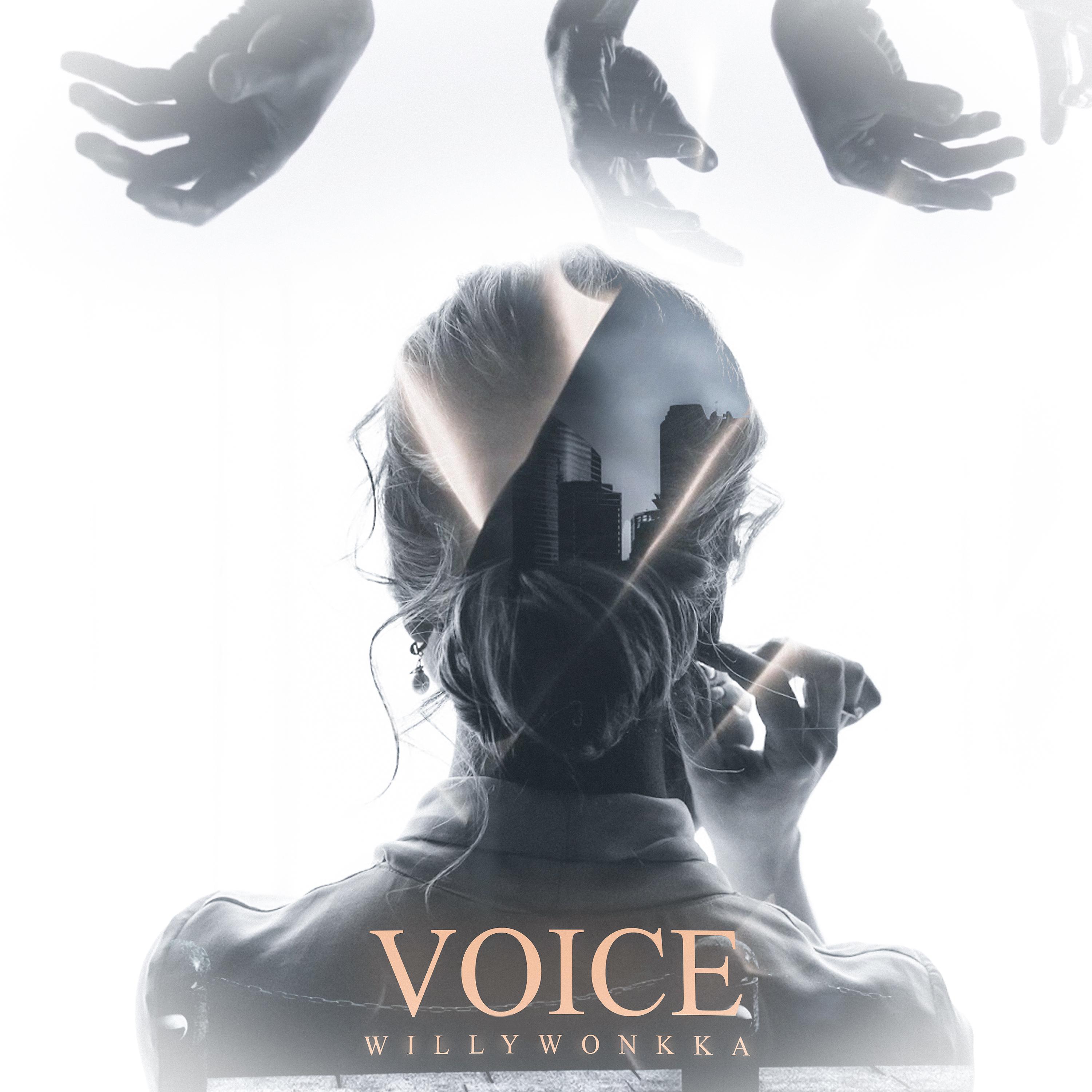 Постер альбома Voice (Prod. by почтиполночь)