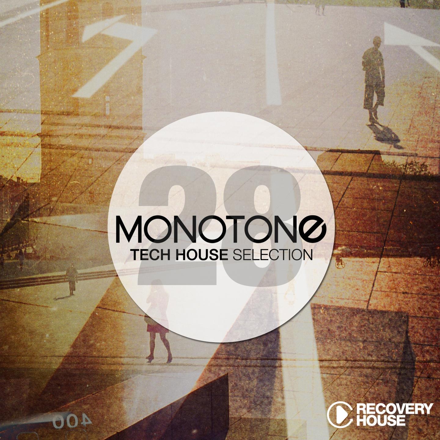 Постер альбома Monotone, Vol. 28 - Tech House Selection