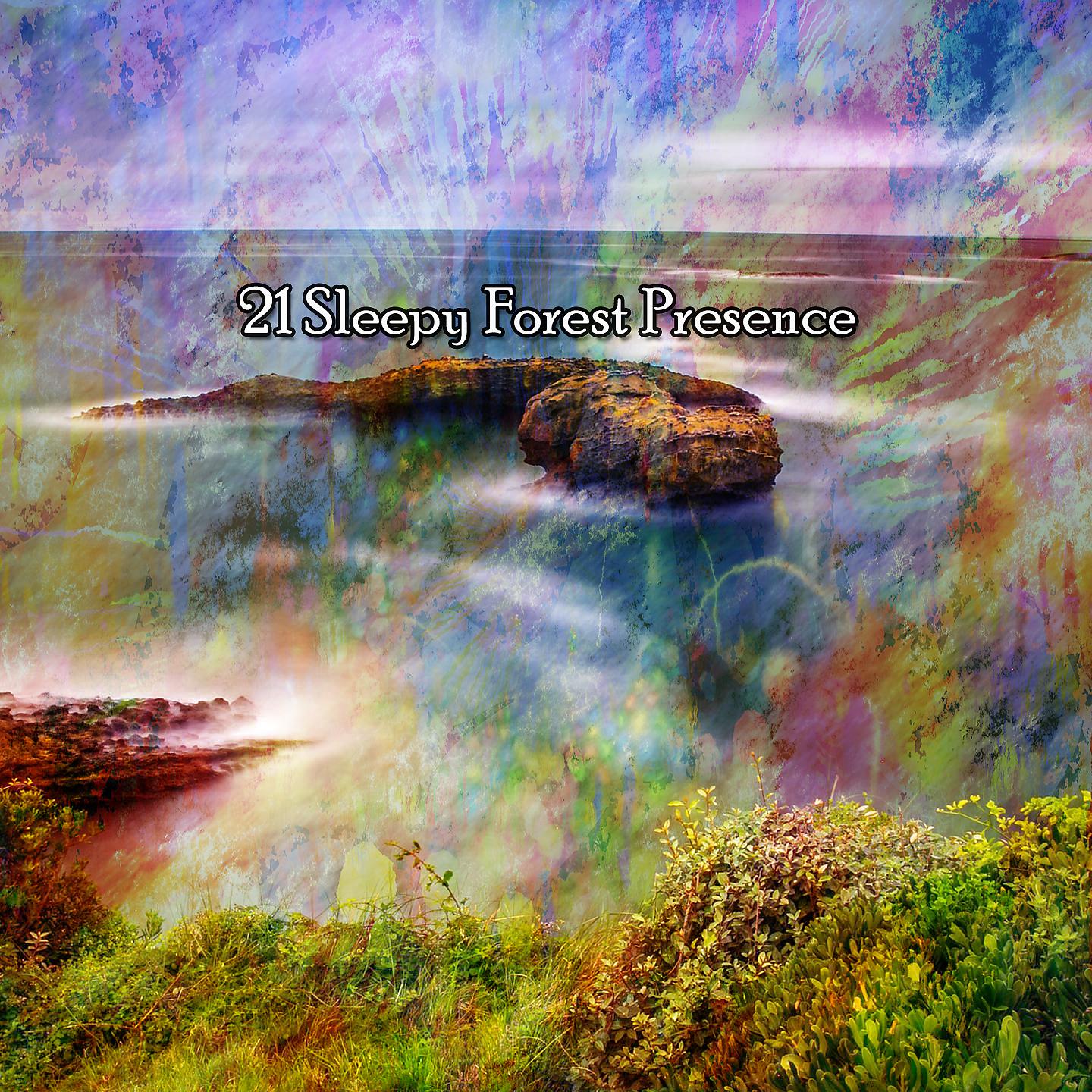 Постер альбома 21 Присутствие сонного леса