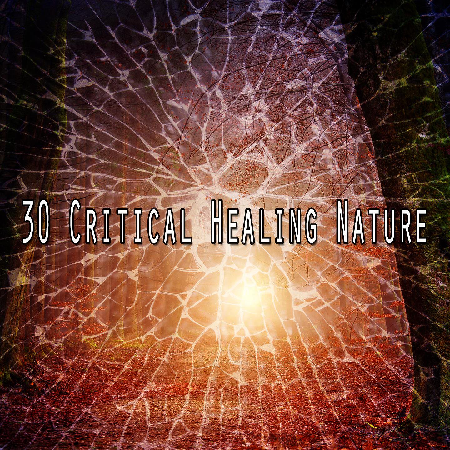 Постер альбома 30 Критическое исцеление природы
