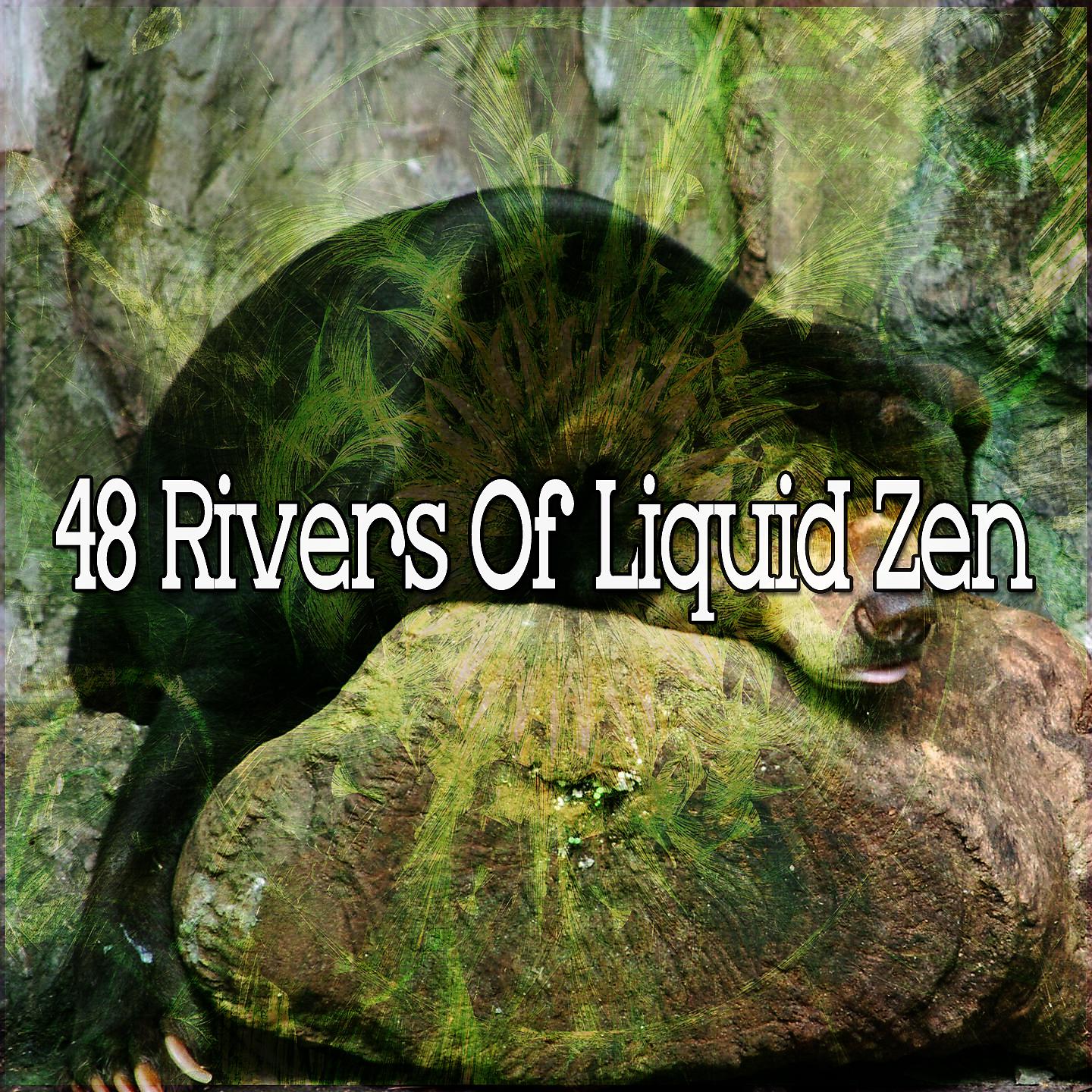 Постер альбома 48 рек жидкого дзен