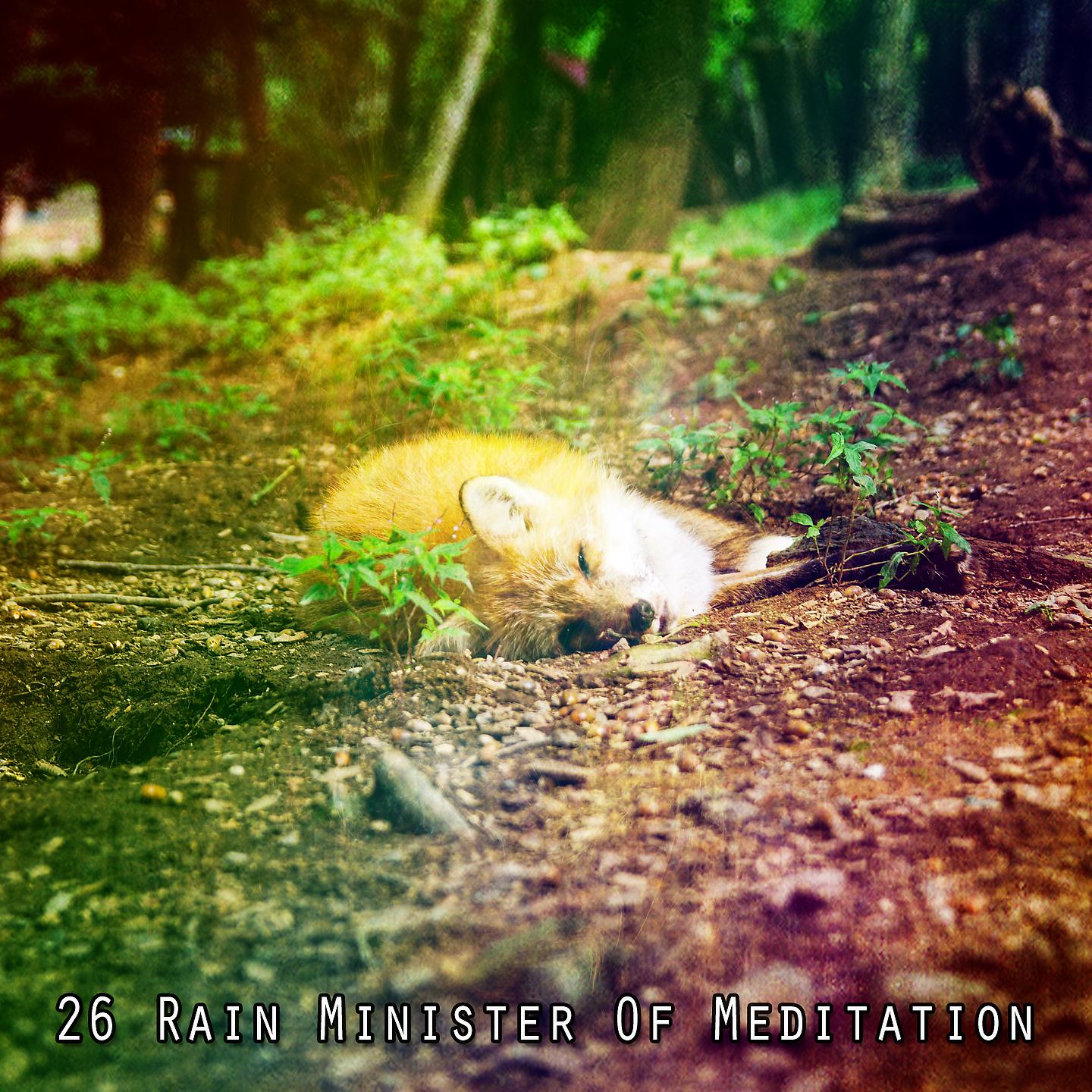 Постер альбома 26 Дождь Министр Медитации
