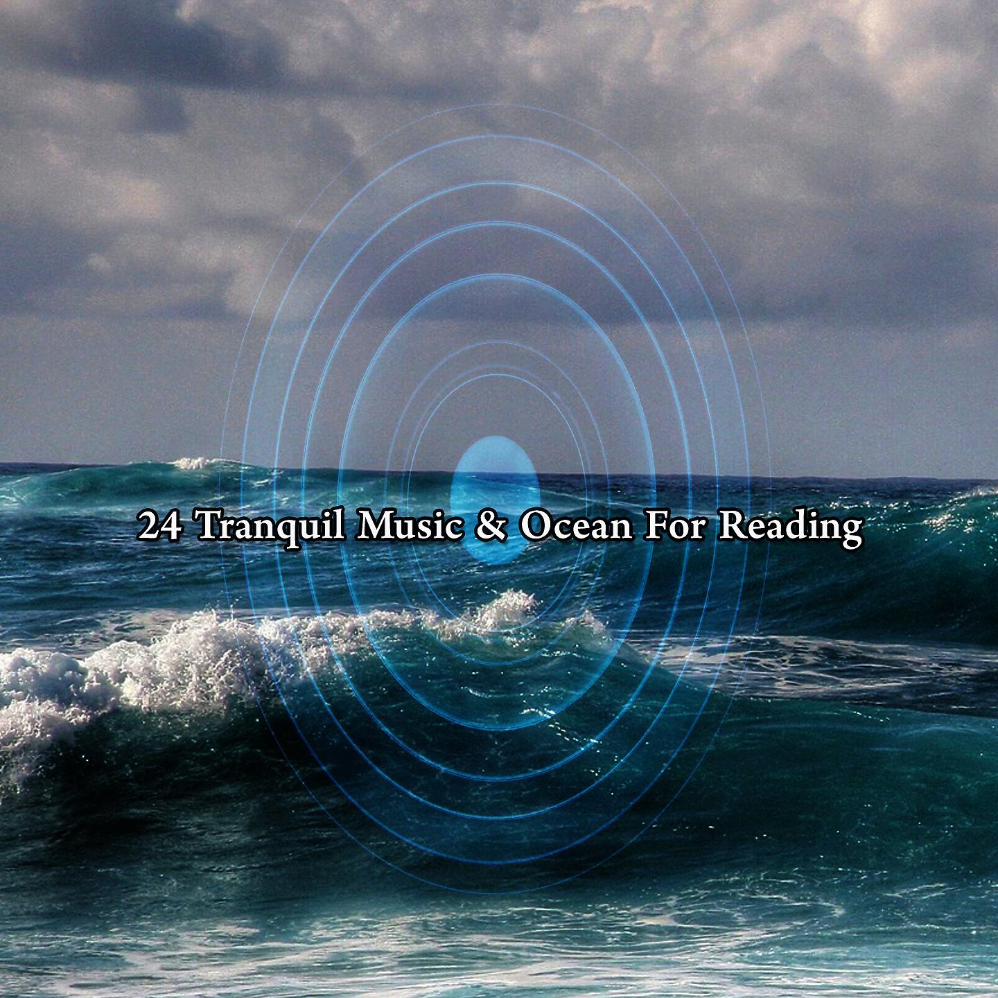 Постер альбома 24 Спокойная музыка и океан для чтения