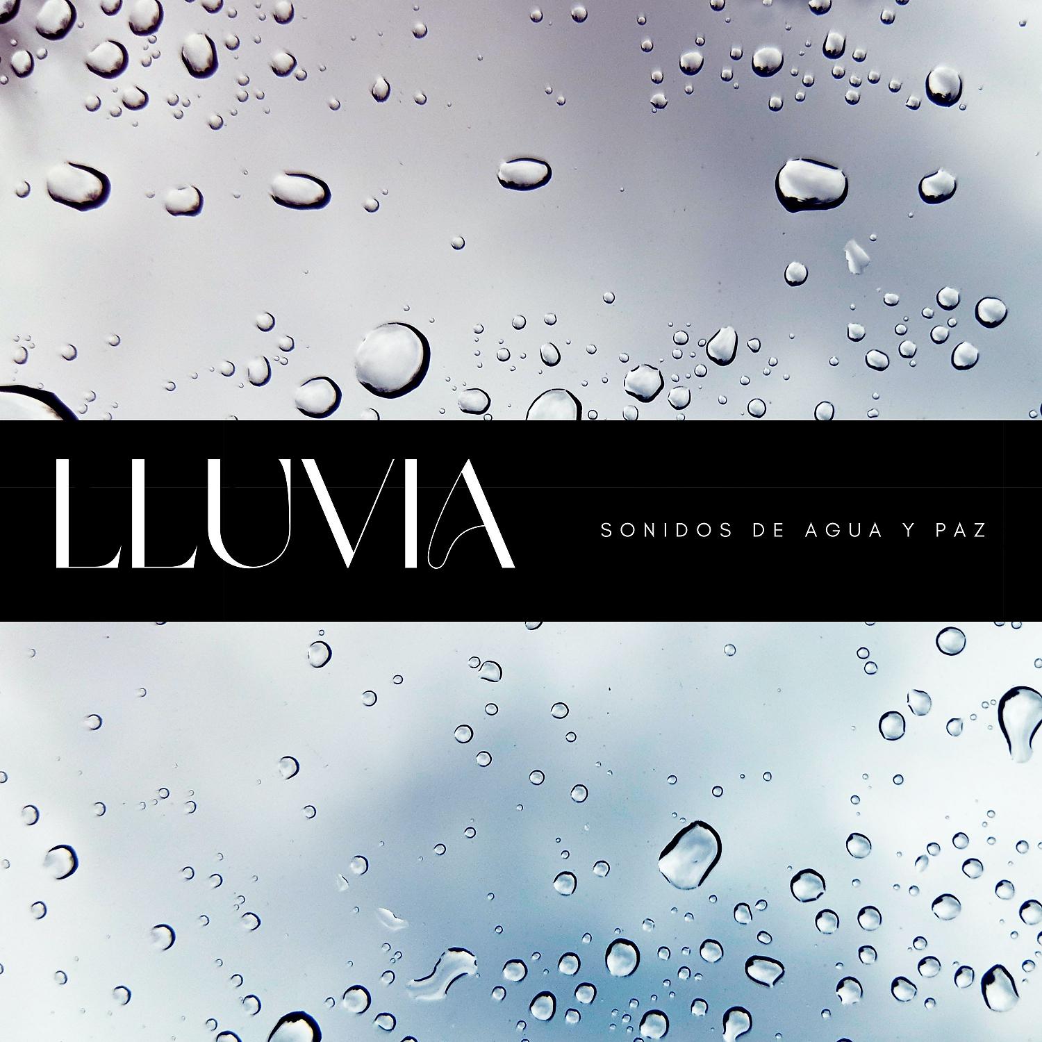 Постер альбома Lluvia: Sonidos De Agua Y Paz