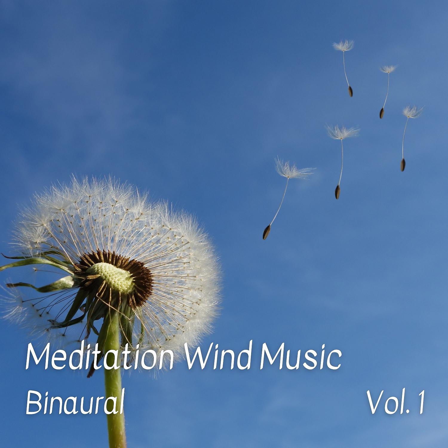 Постер альбома Binaural: Meditation Wind Music Vol. 1