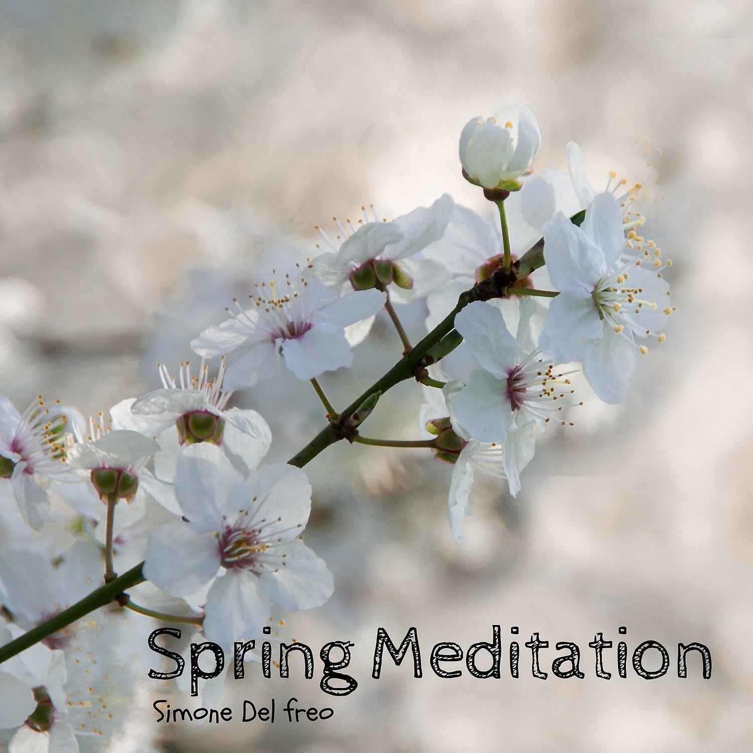 Постер альбома Spring Meditation