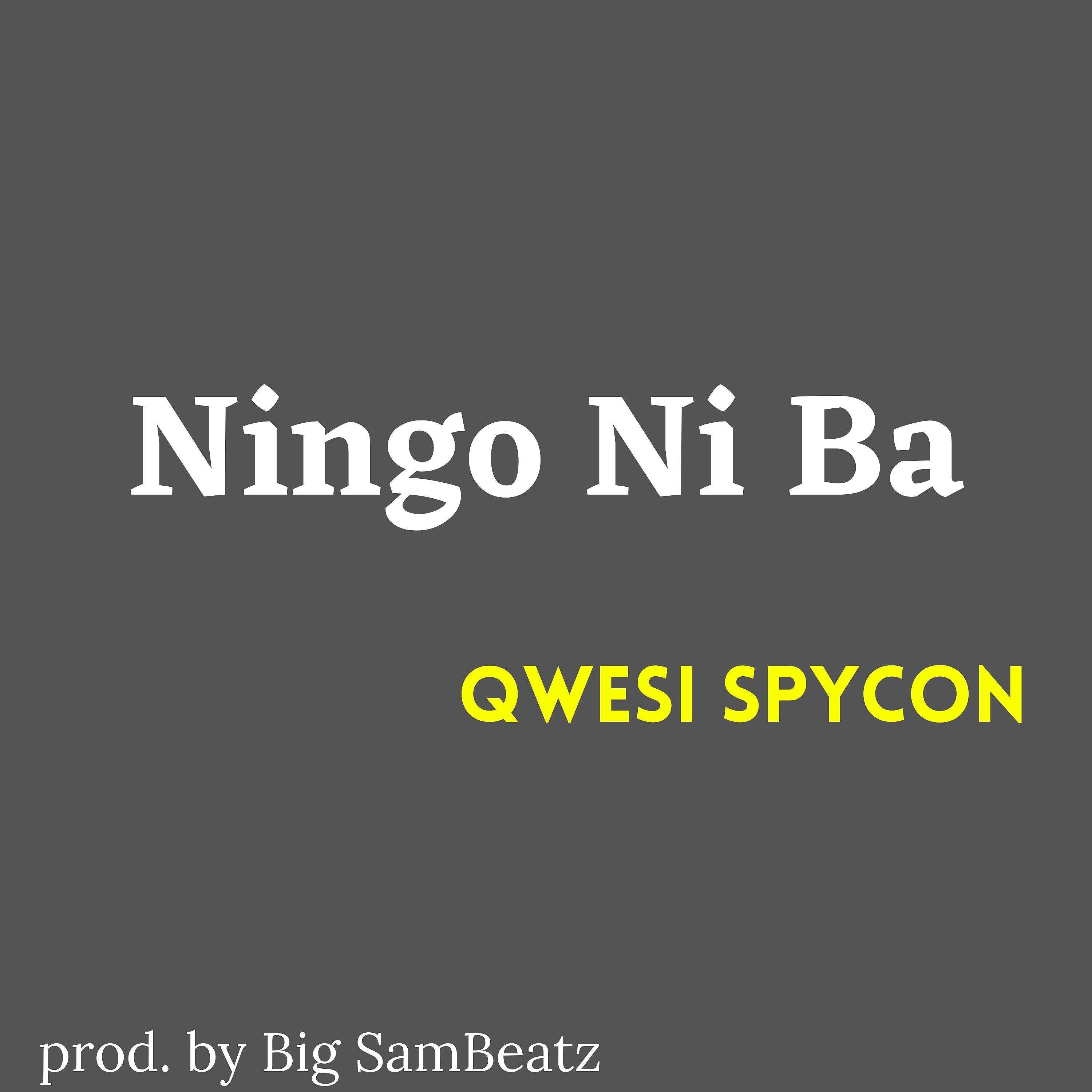 Постер альбома Ningo Ni Ba