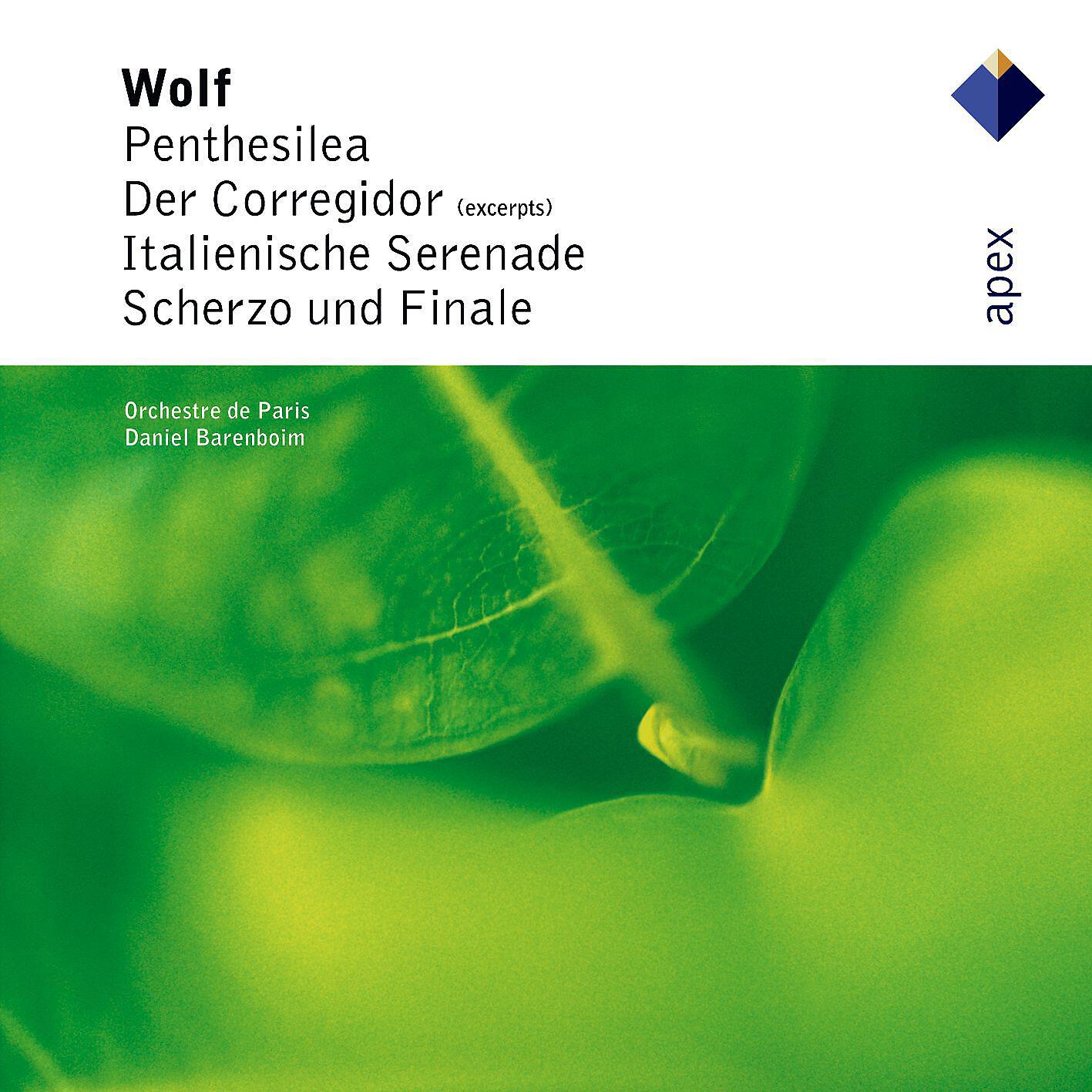 Daniel Barenboim & Orchestre de Paris - Wolf : Scherzo & Finale : II Finale