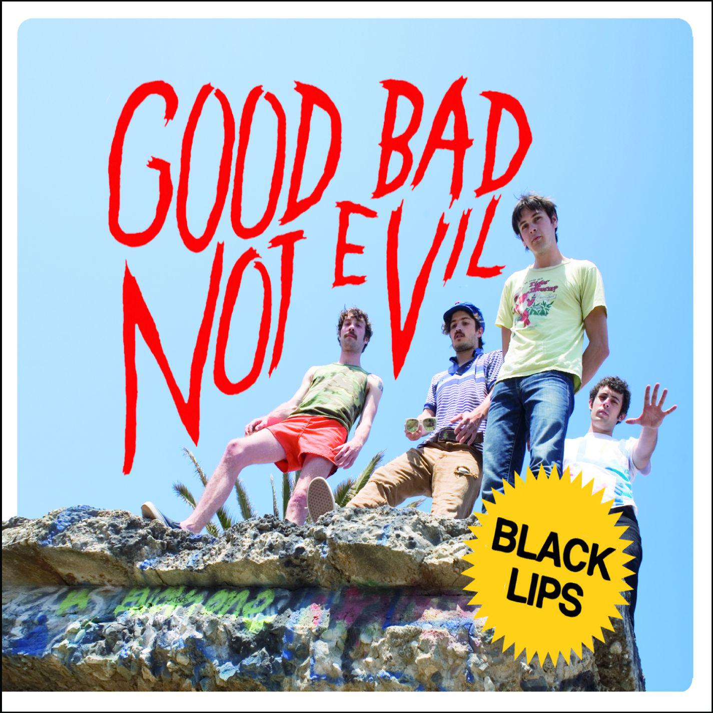Постер альбома Good Bad Not Evil