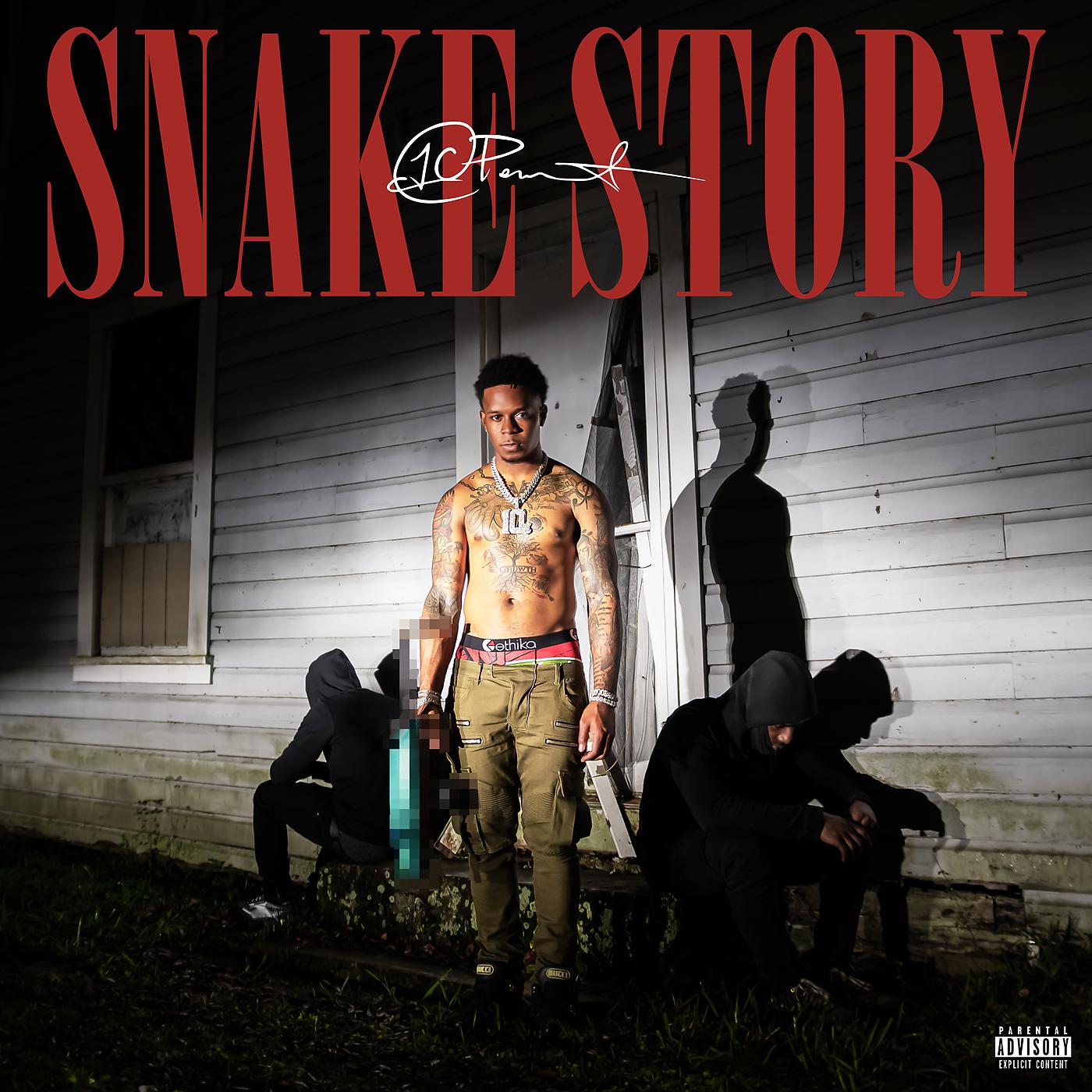 Постер альбома Snake Story