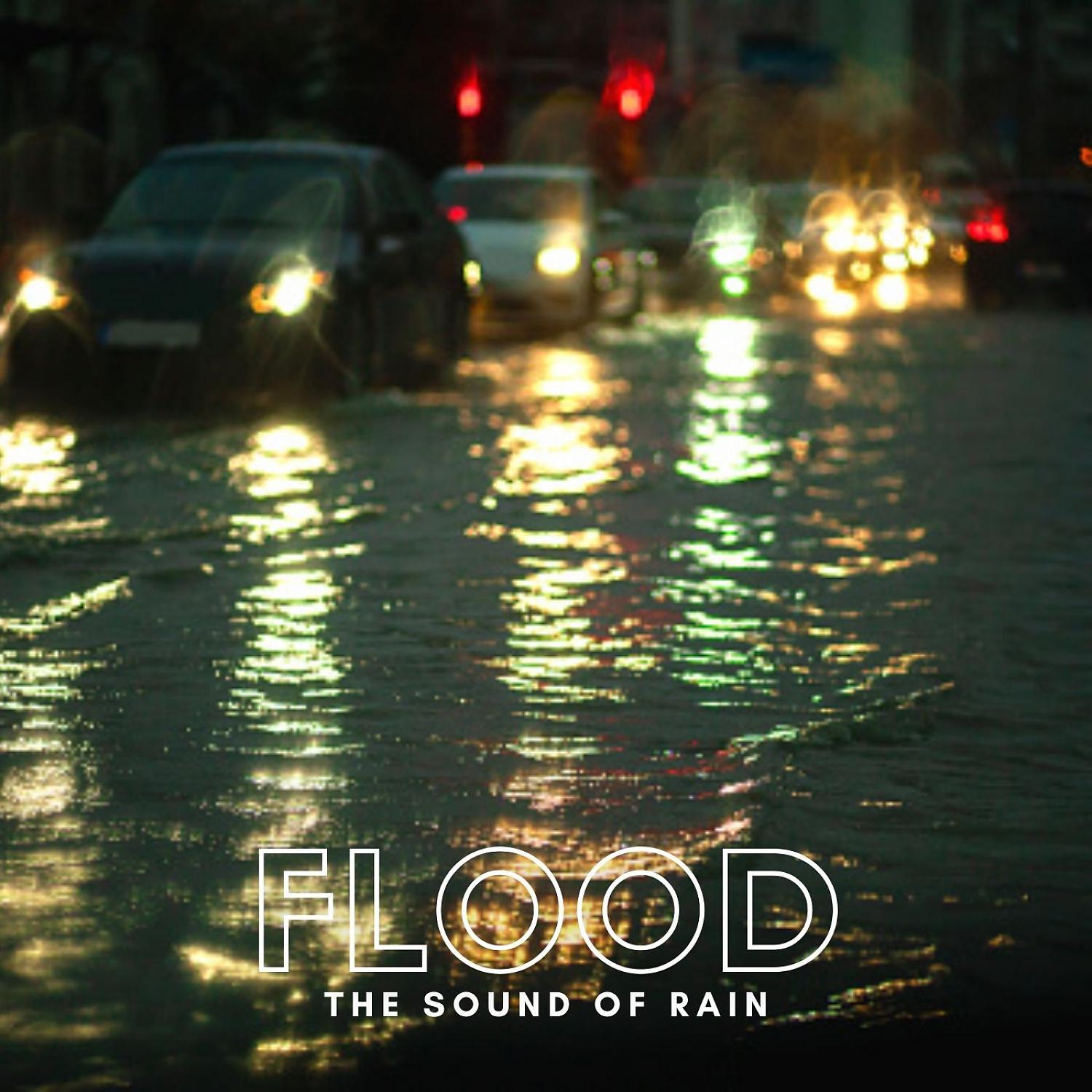 Постер альбома The Sound of Rain: Flood