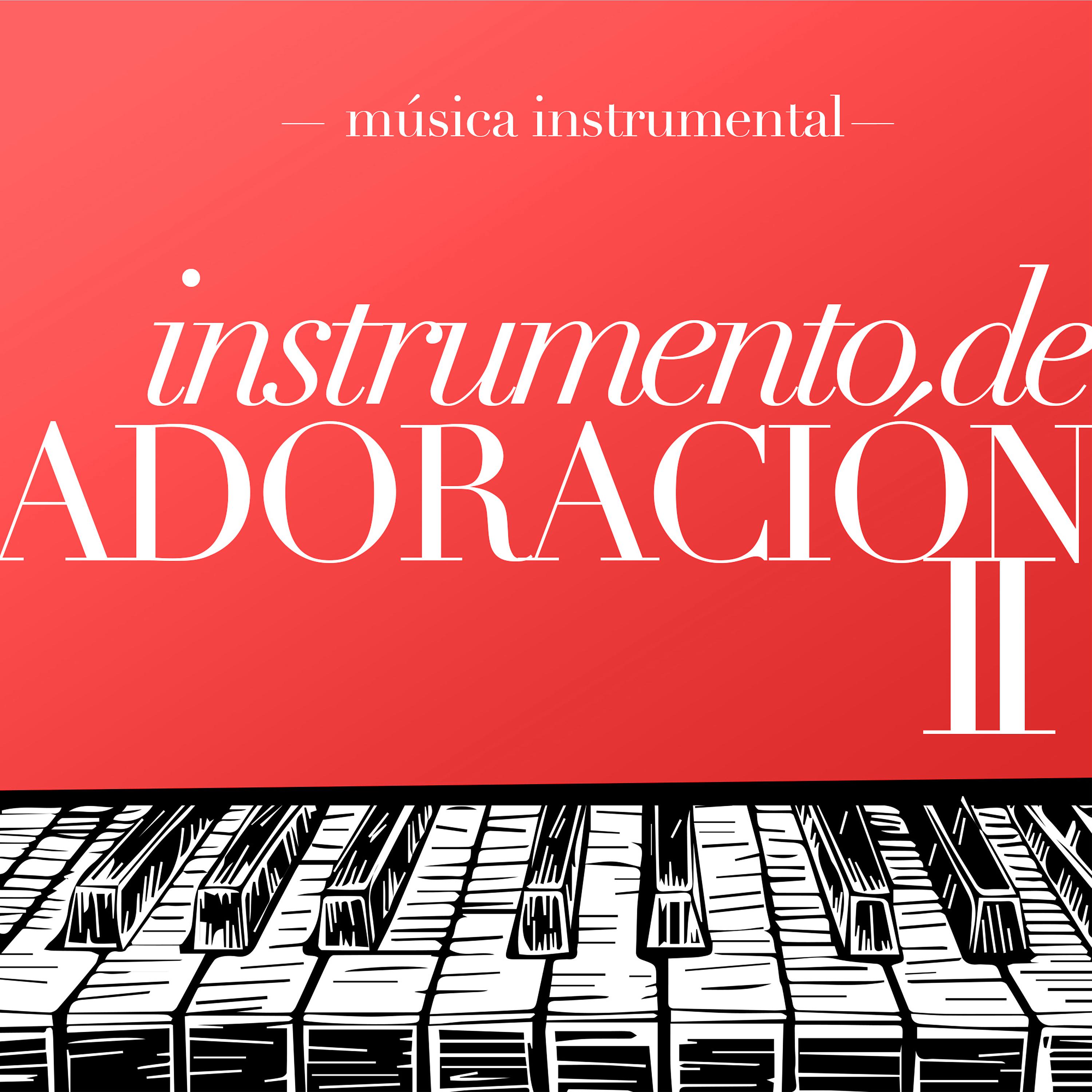 Постер альбома Instrumento De Adoración II