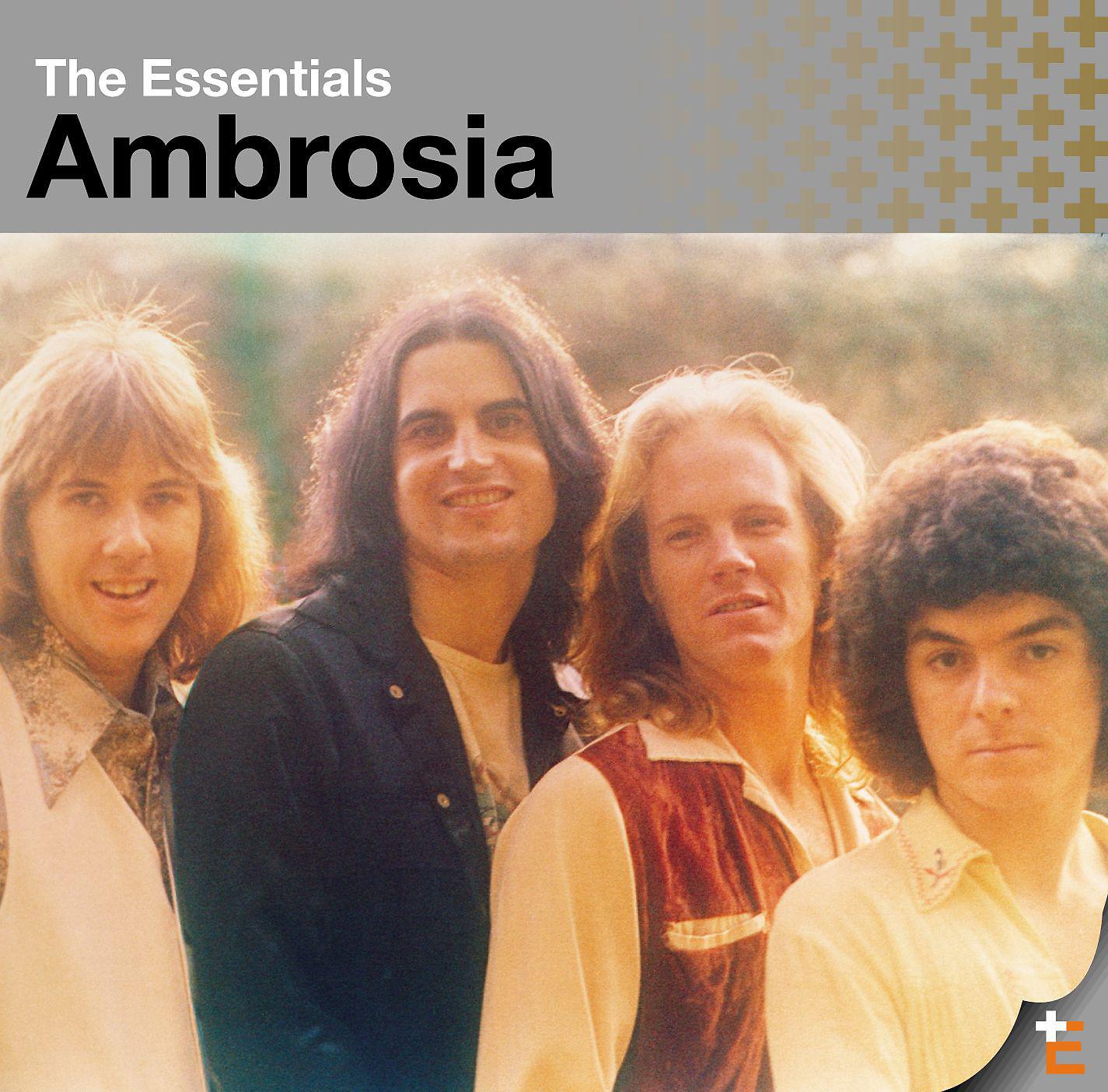 Постер альбома The Essentials: Ambrosia