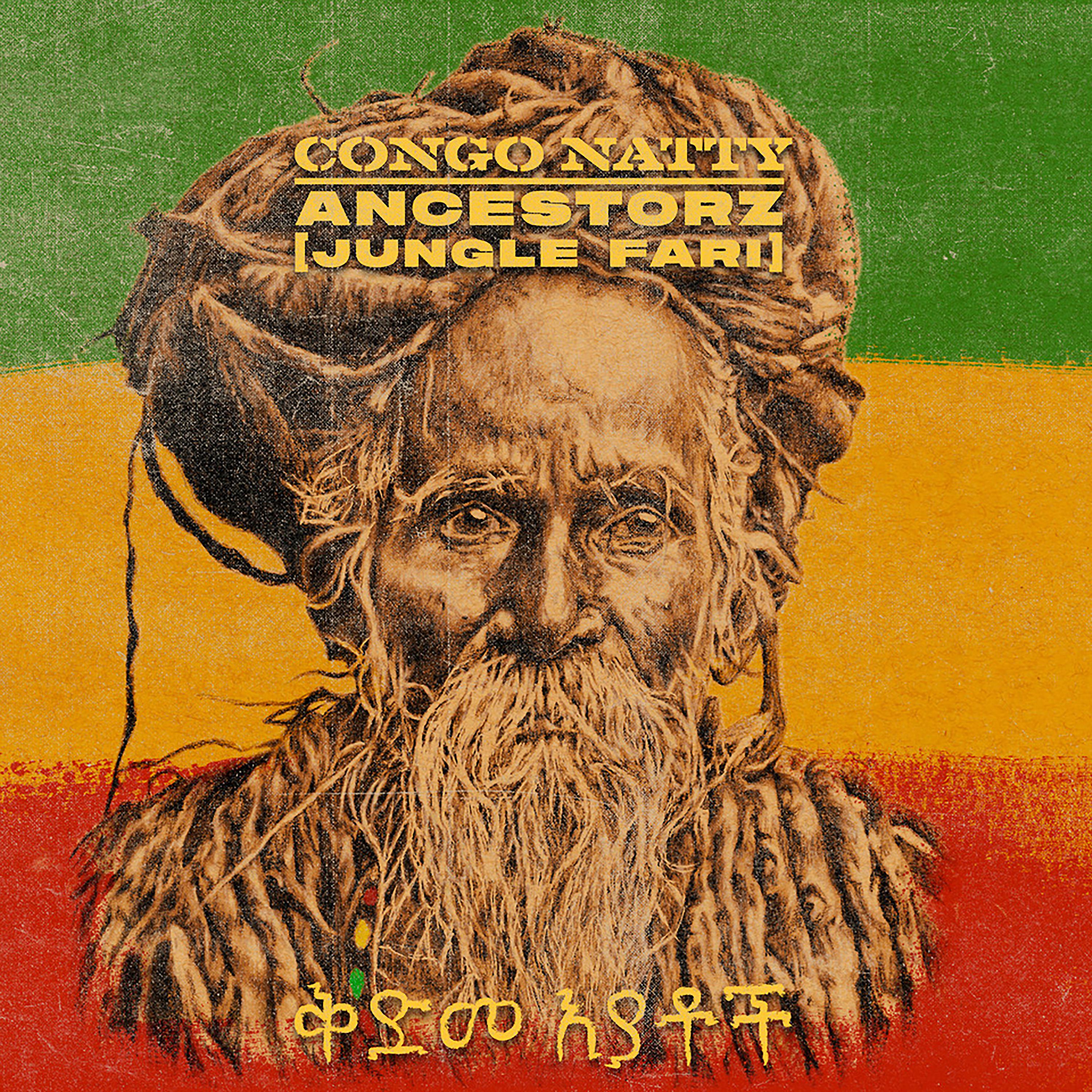 Постер альбома Ancestorz (Jungle Fari)
