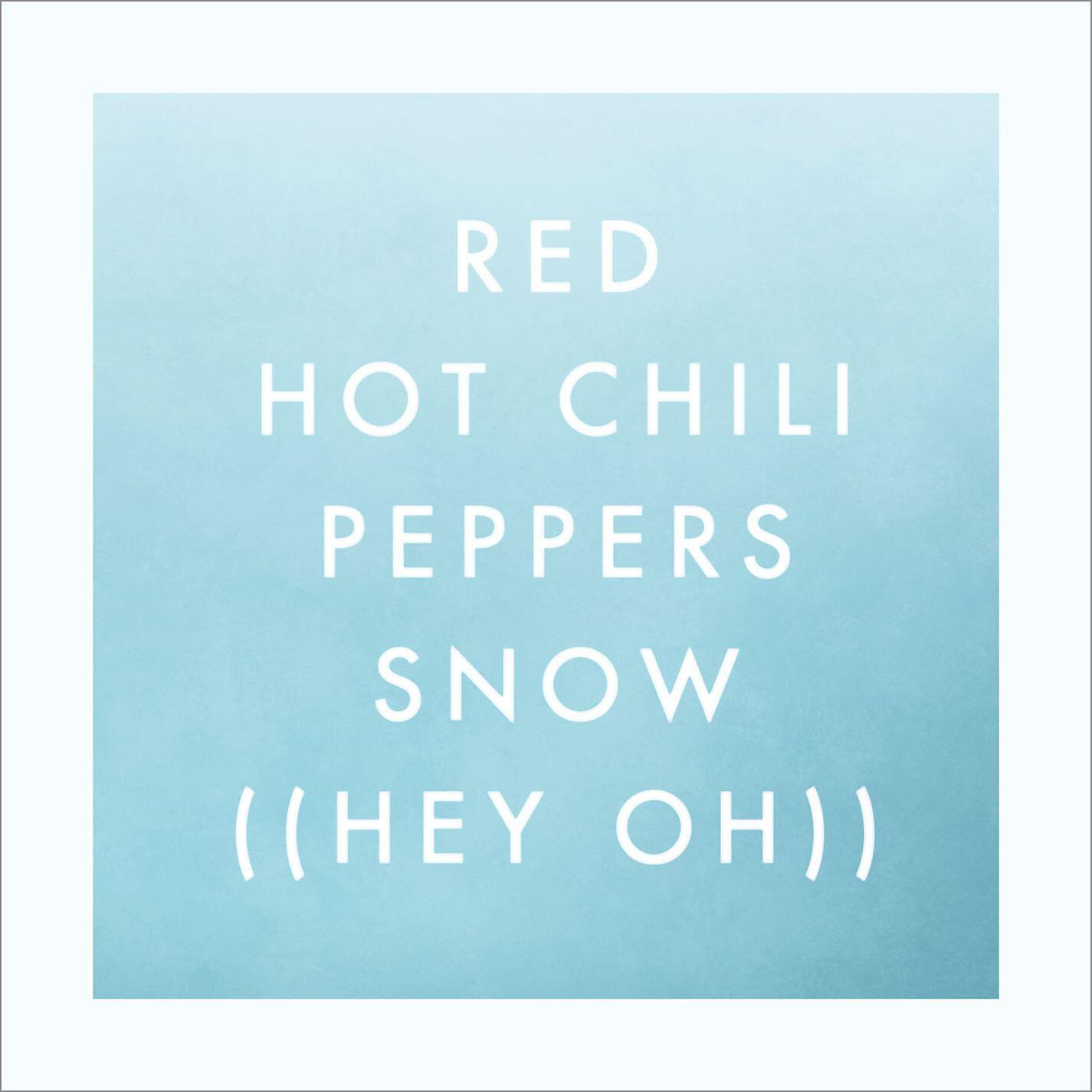 Red Hot Chili Peppers - Permutation (Live in Montreal, 2006)