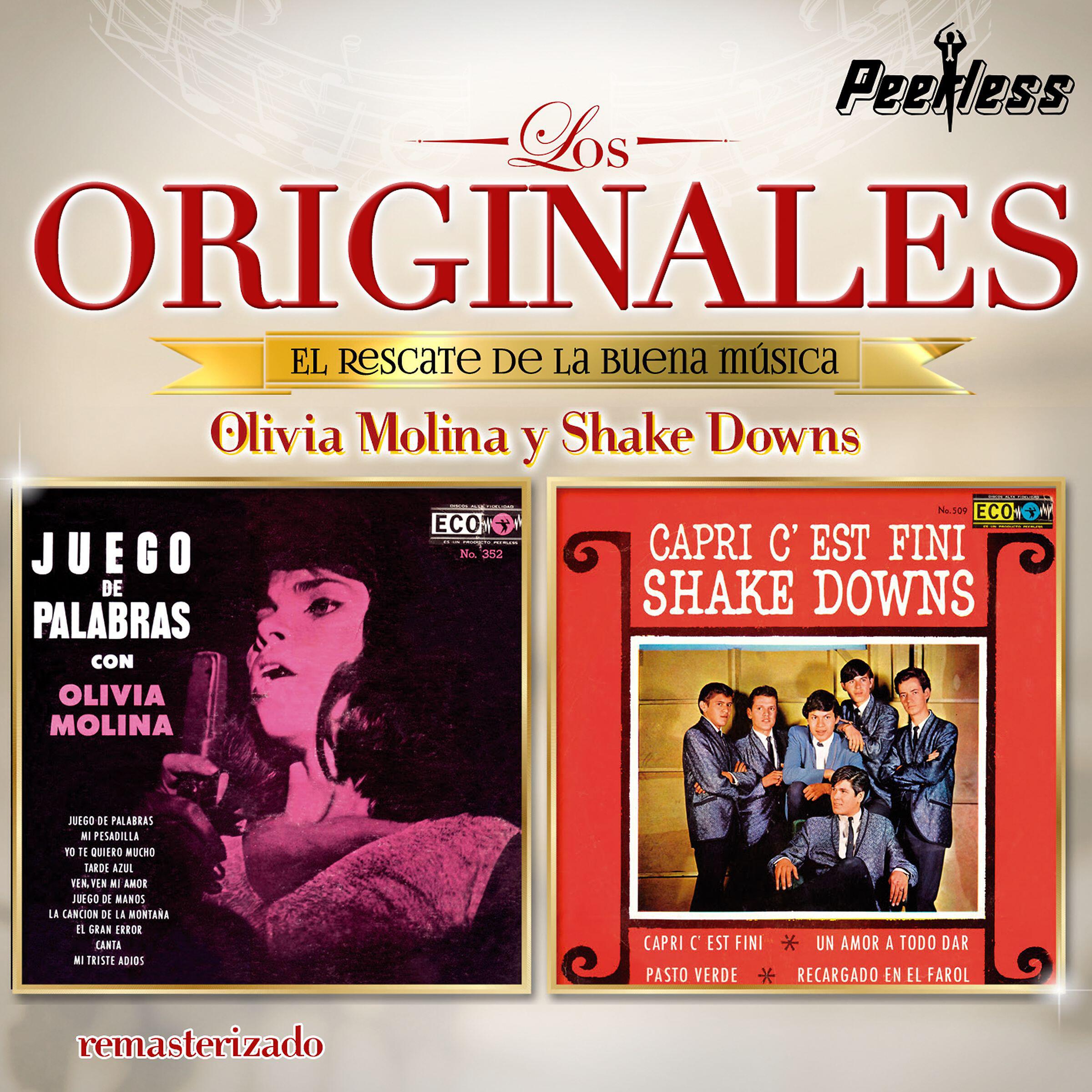 Shake Downs - Otra clase de amor (A New Kind of Love)