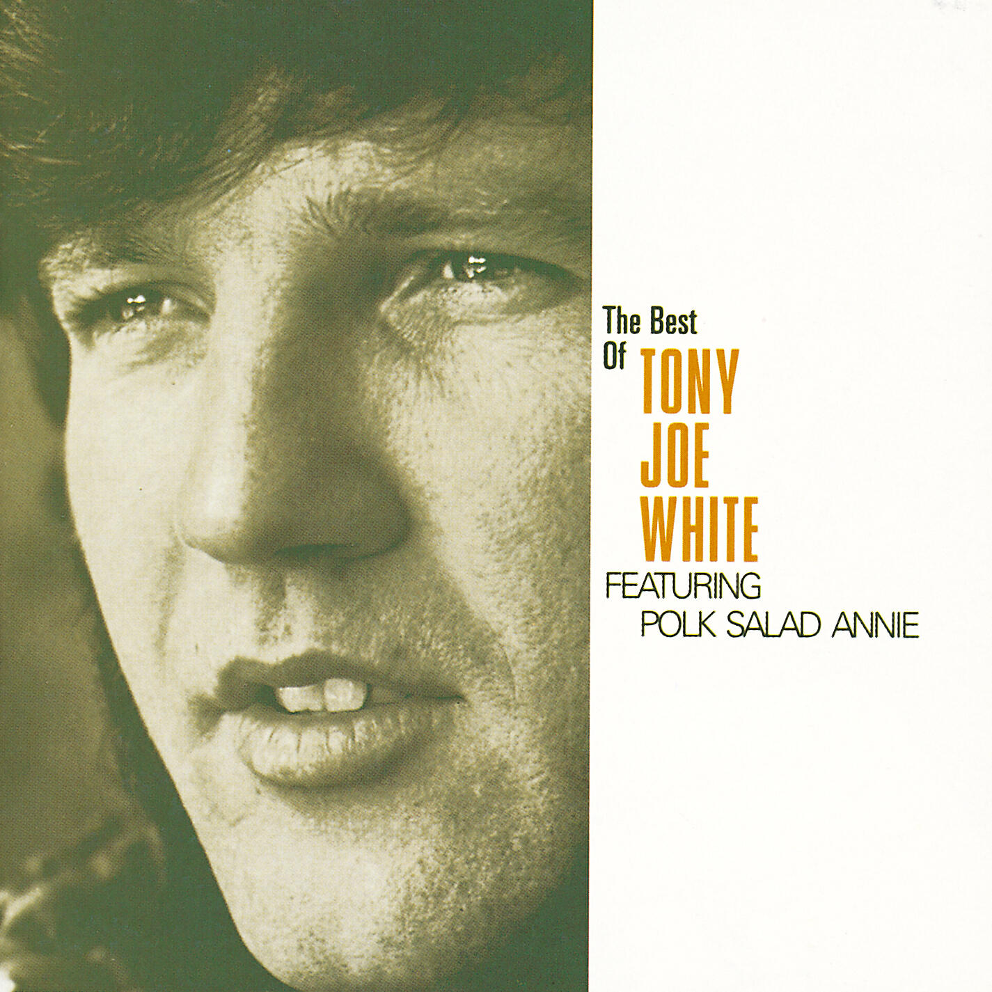 Tony Joe White - High Sheriff of Calhoun Parrish