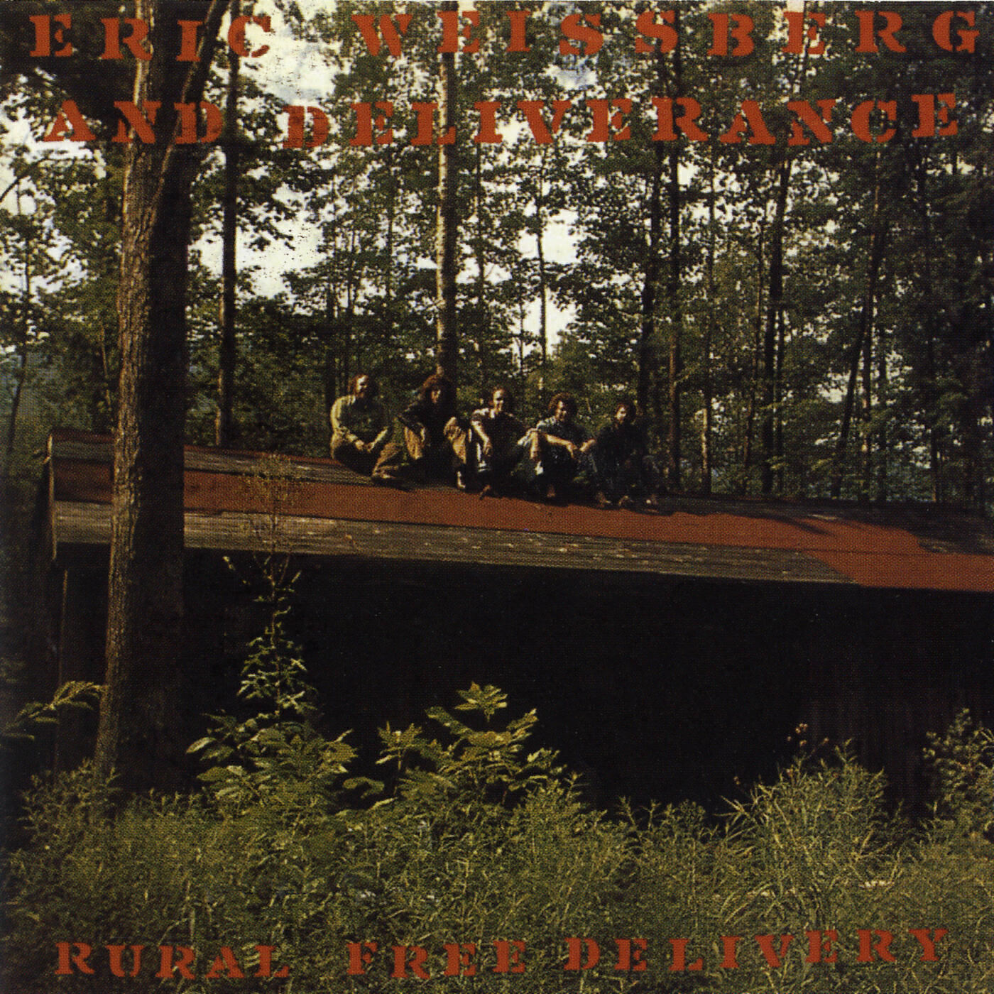 Eric Weissberg And Deliverance - Concrete Canyon Boogie