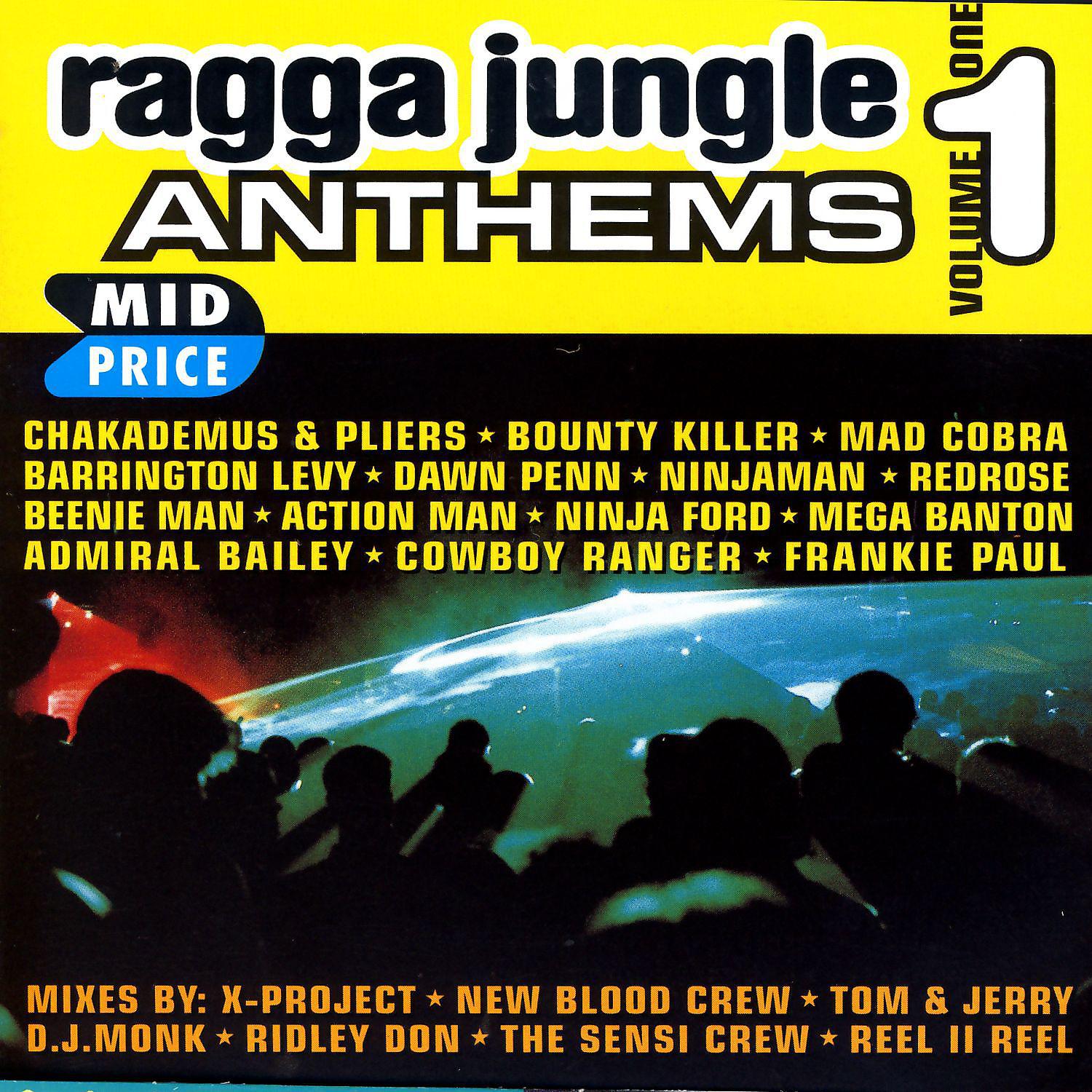 Постер альбома Ragga Jungle Anthems Vol. One