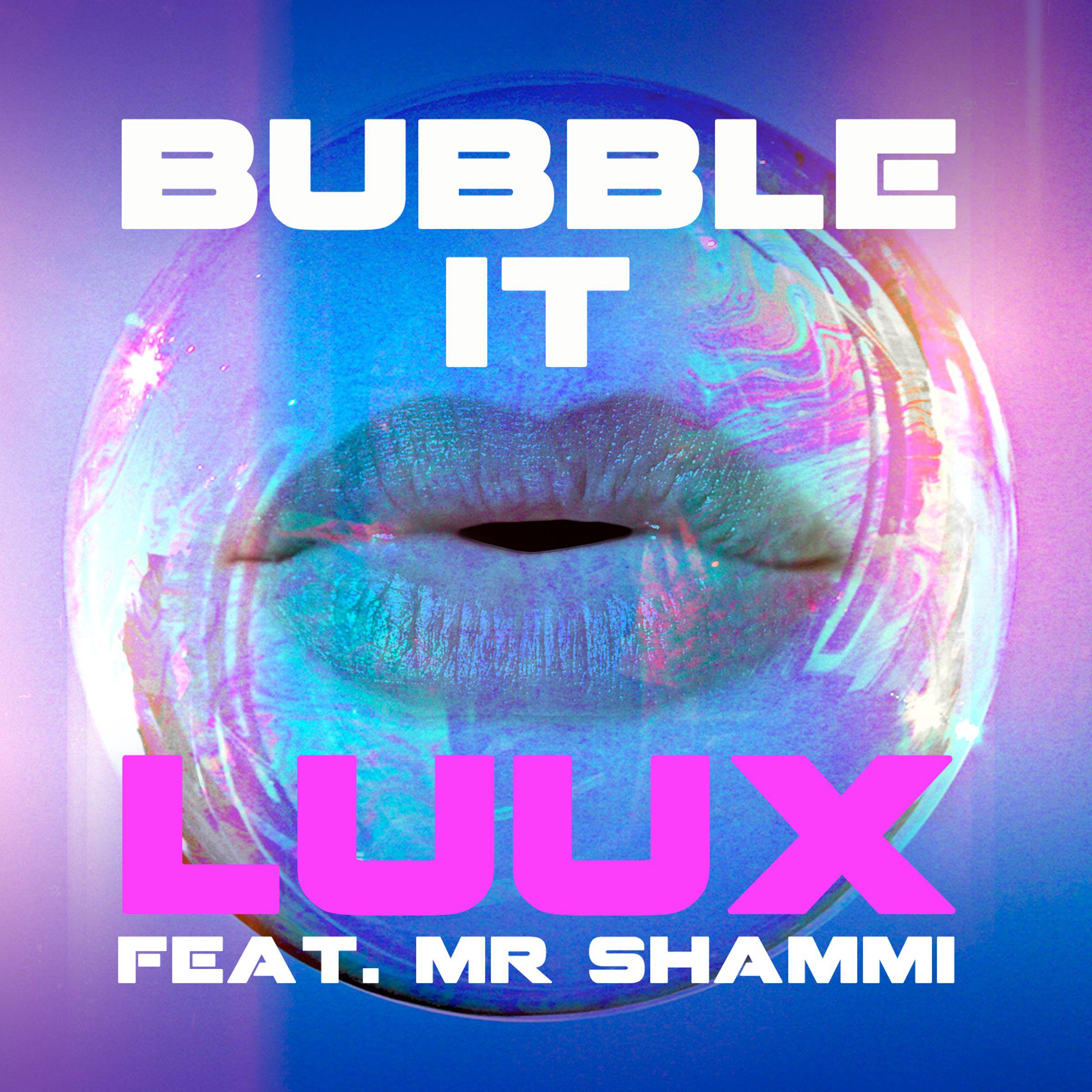 Постер альбома Bubble It (feat. Mr Shammi)