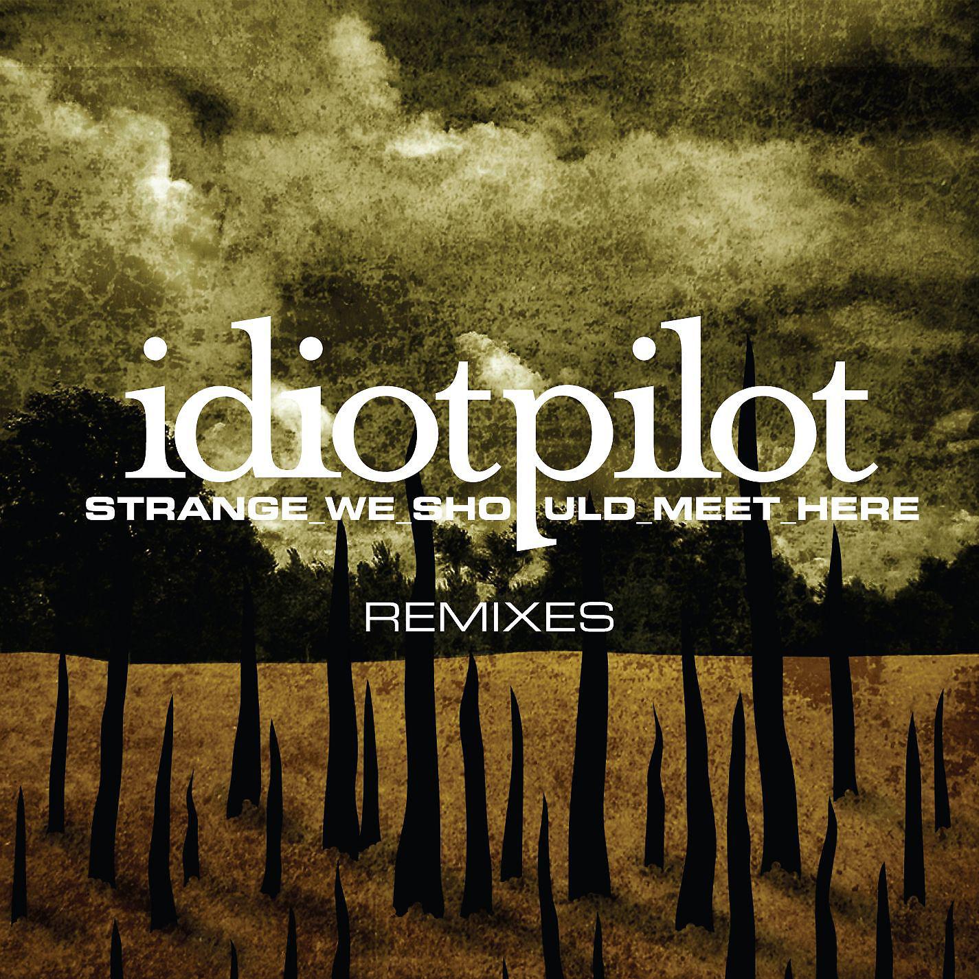 Постер альбома Remixes From "Strange We Should Meet Here" (DMD Maxi)