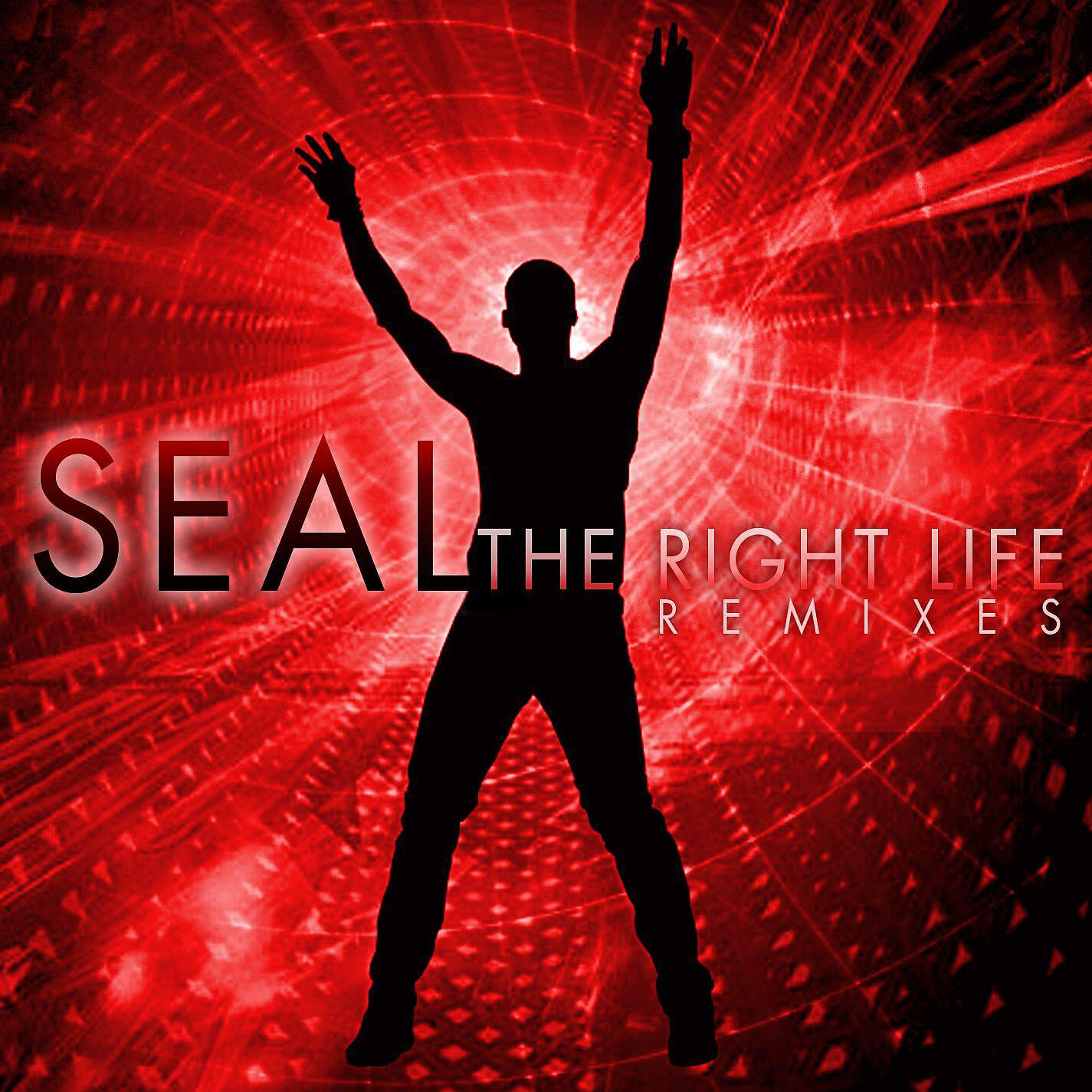 Seal - The Right Life (Josh Harris Radio Edit)