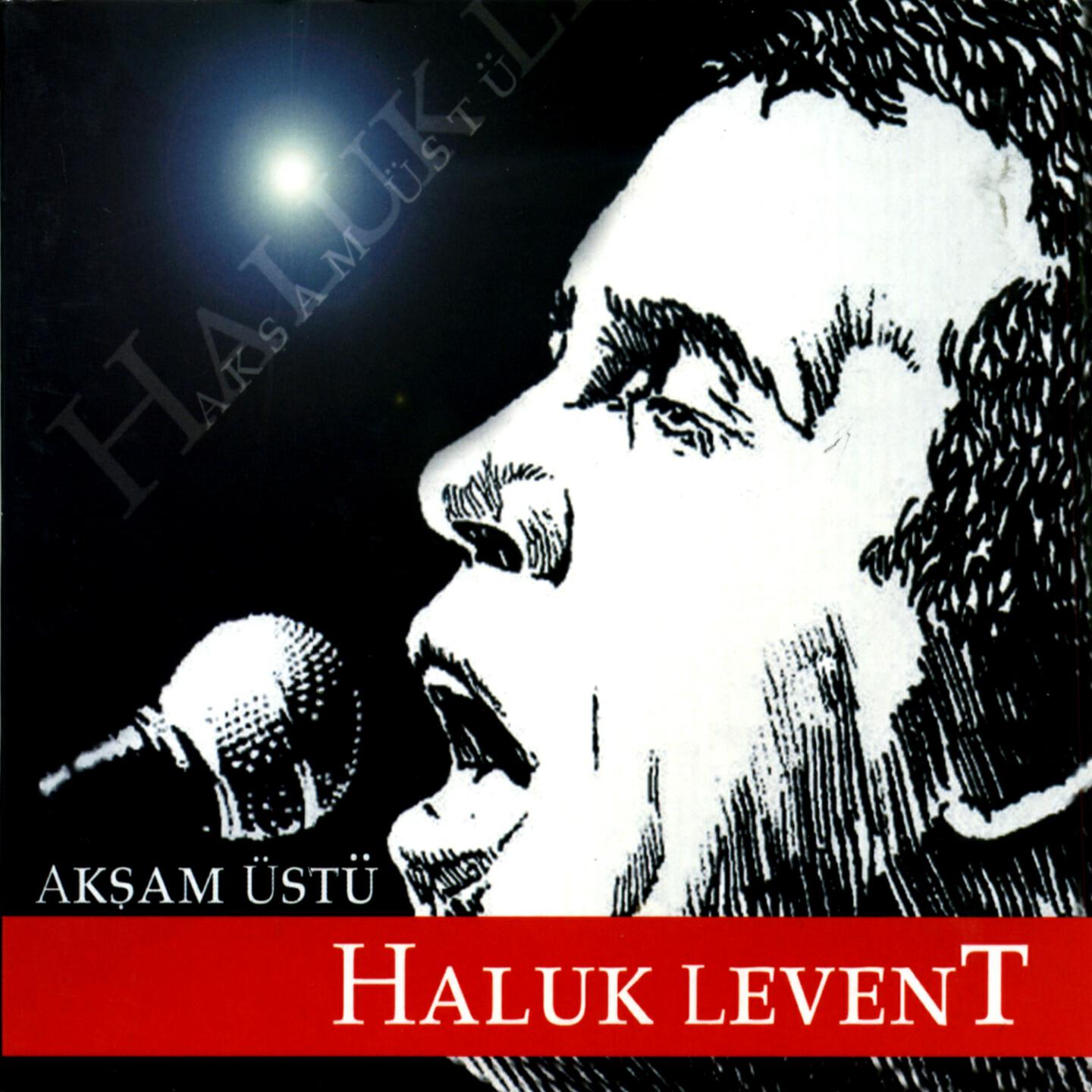 Haluk Levent - Bir Güldün Yar