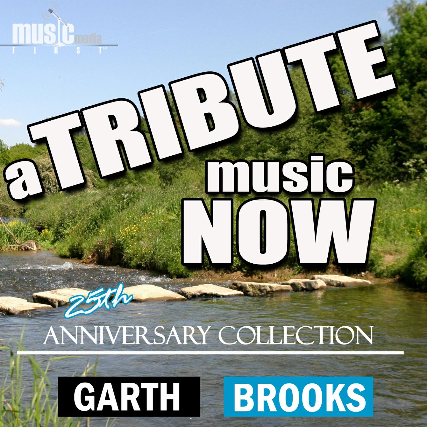 The Tribute Beat - When You Come Back to Me Again