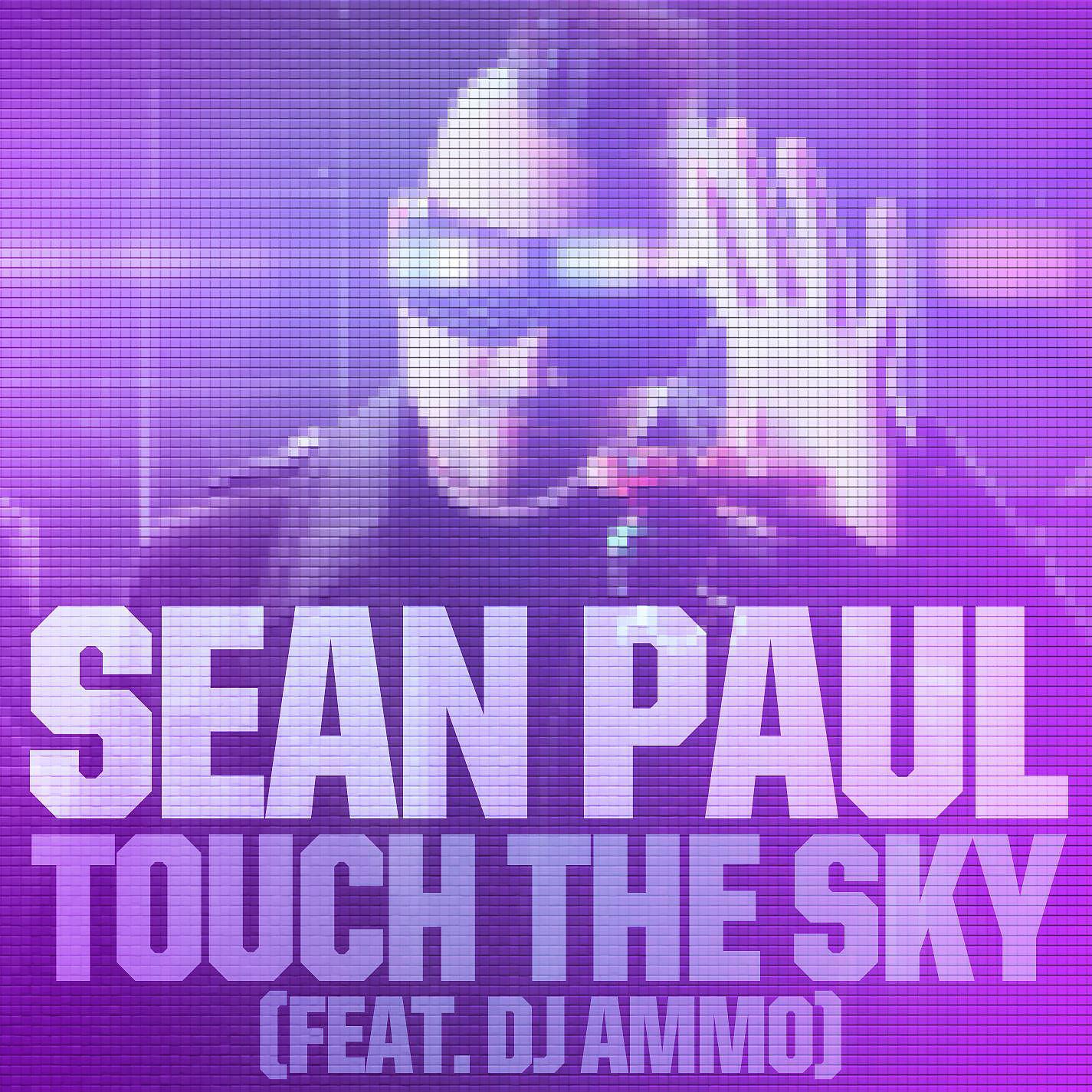 Постер альбома Touch the Sky (feat. DJ Ammo)