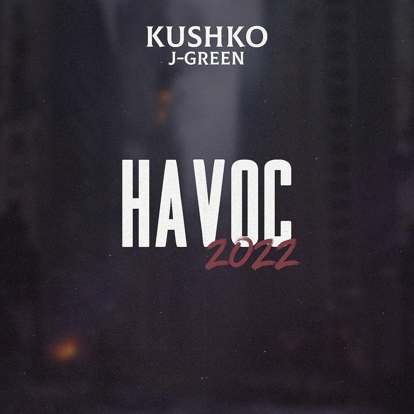 Постер альбома Havoc 2022