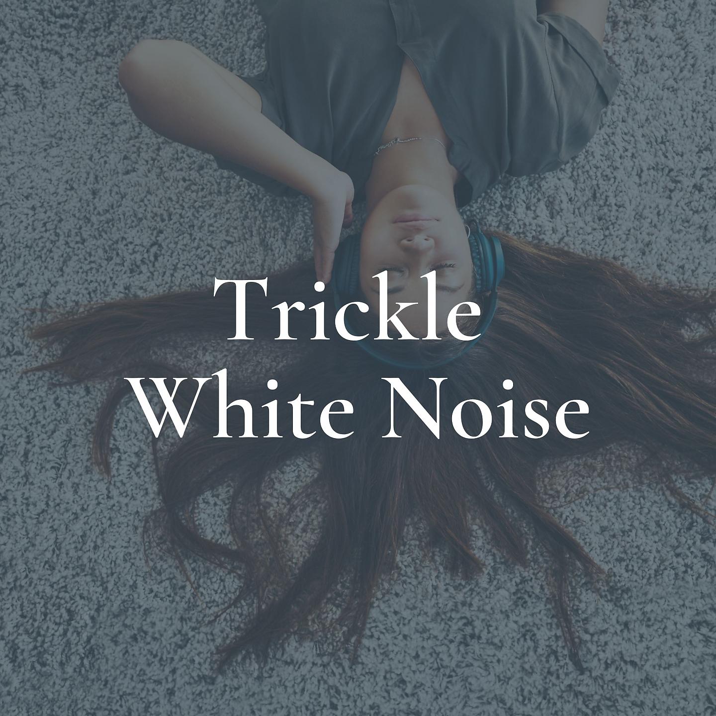 Постер альбома Trickle White Noise