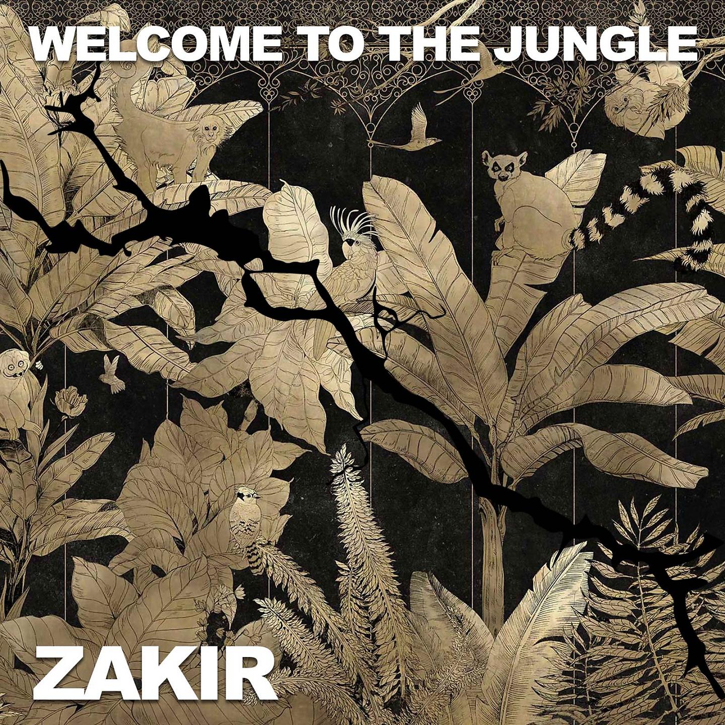 Постер альбома Welcome to the jungle