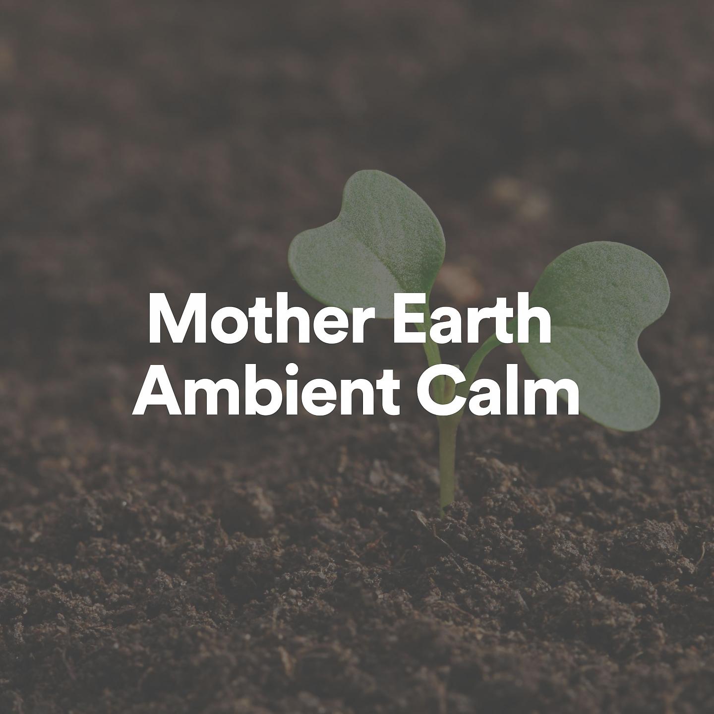 Постер альбома Mother Earth Ambient Calm